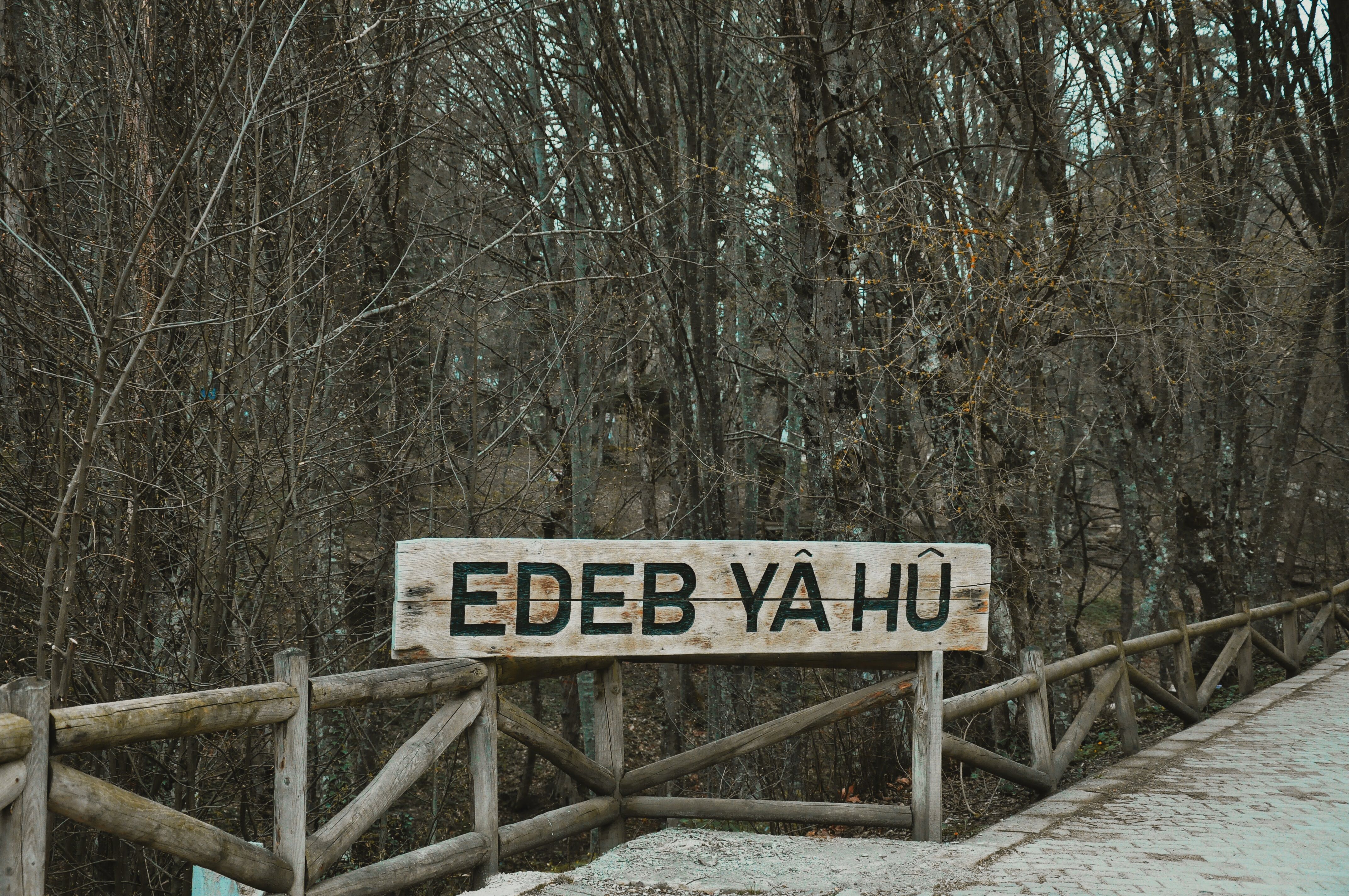 A rustic wooden sign with the text 'Edeb Yâ Hû' in a serene forest setting during fall.