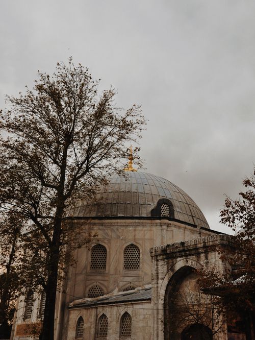 Free A majestic dome with intricate architecture beside a tree on a cloudy day. Stock Photo