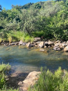 Peaceful river scene in a forest with greenery and rocks on a sunny day.