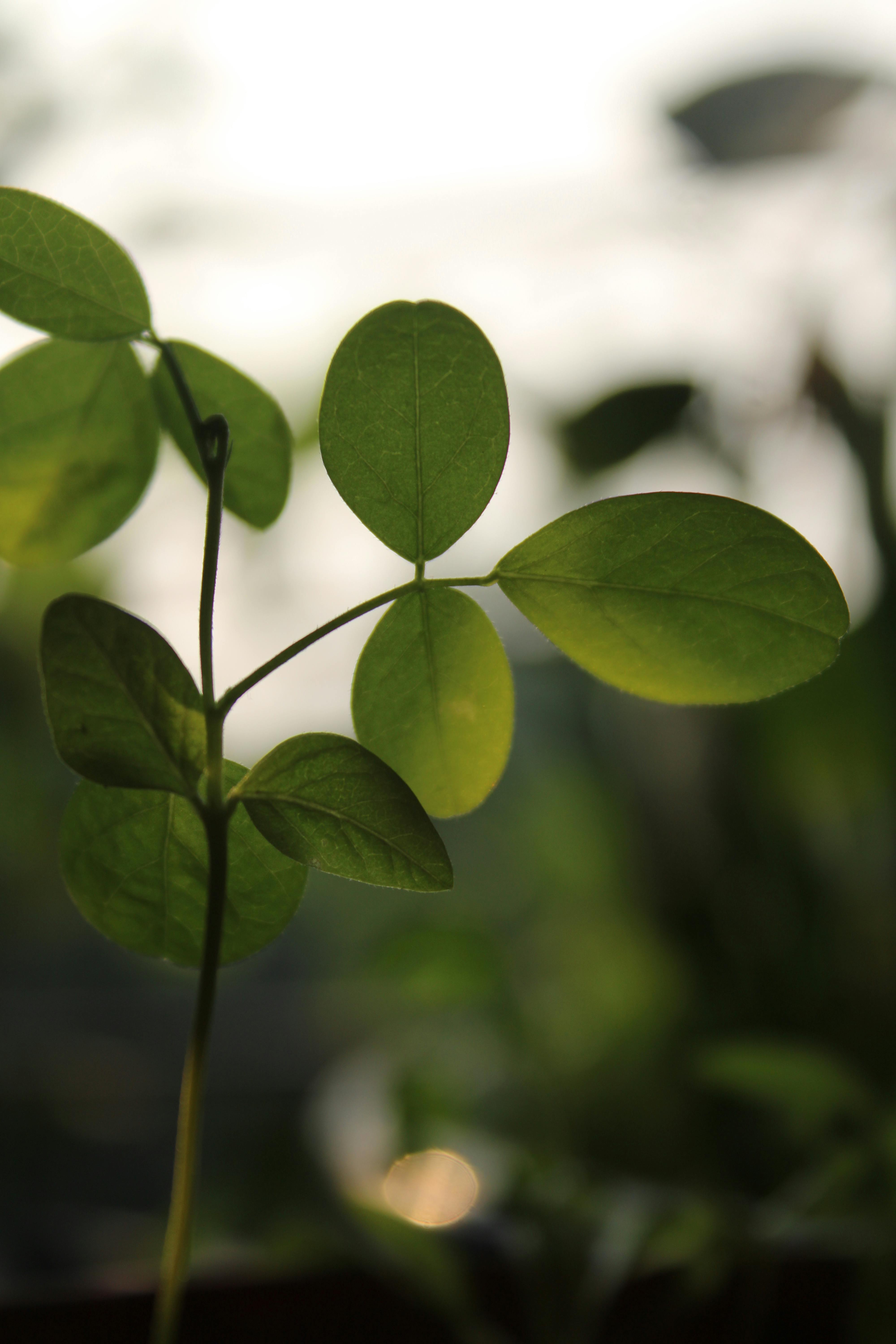 What Is A Balanced Life 1