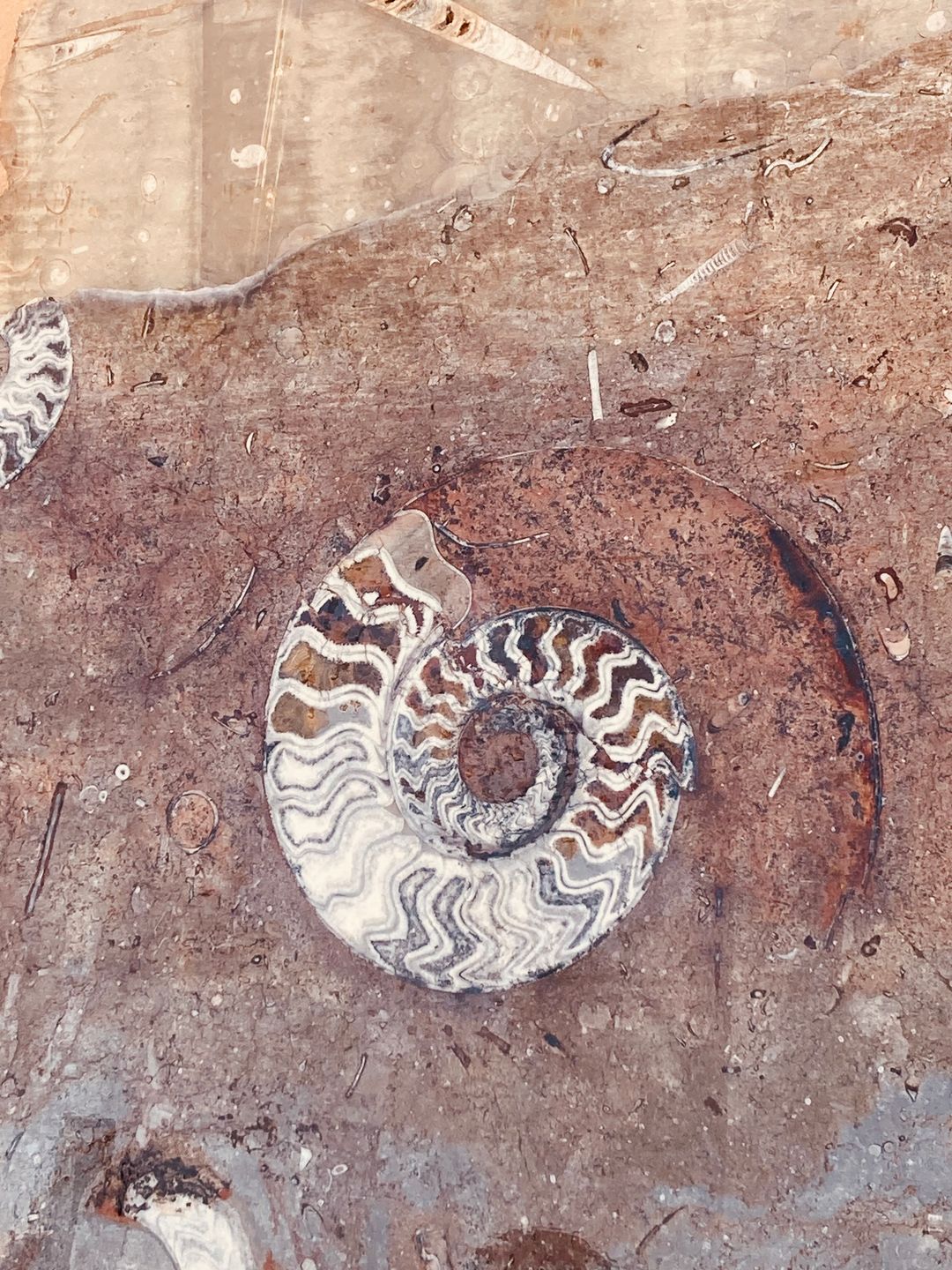 Earth science and geology classroom materials