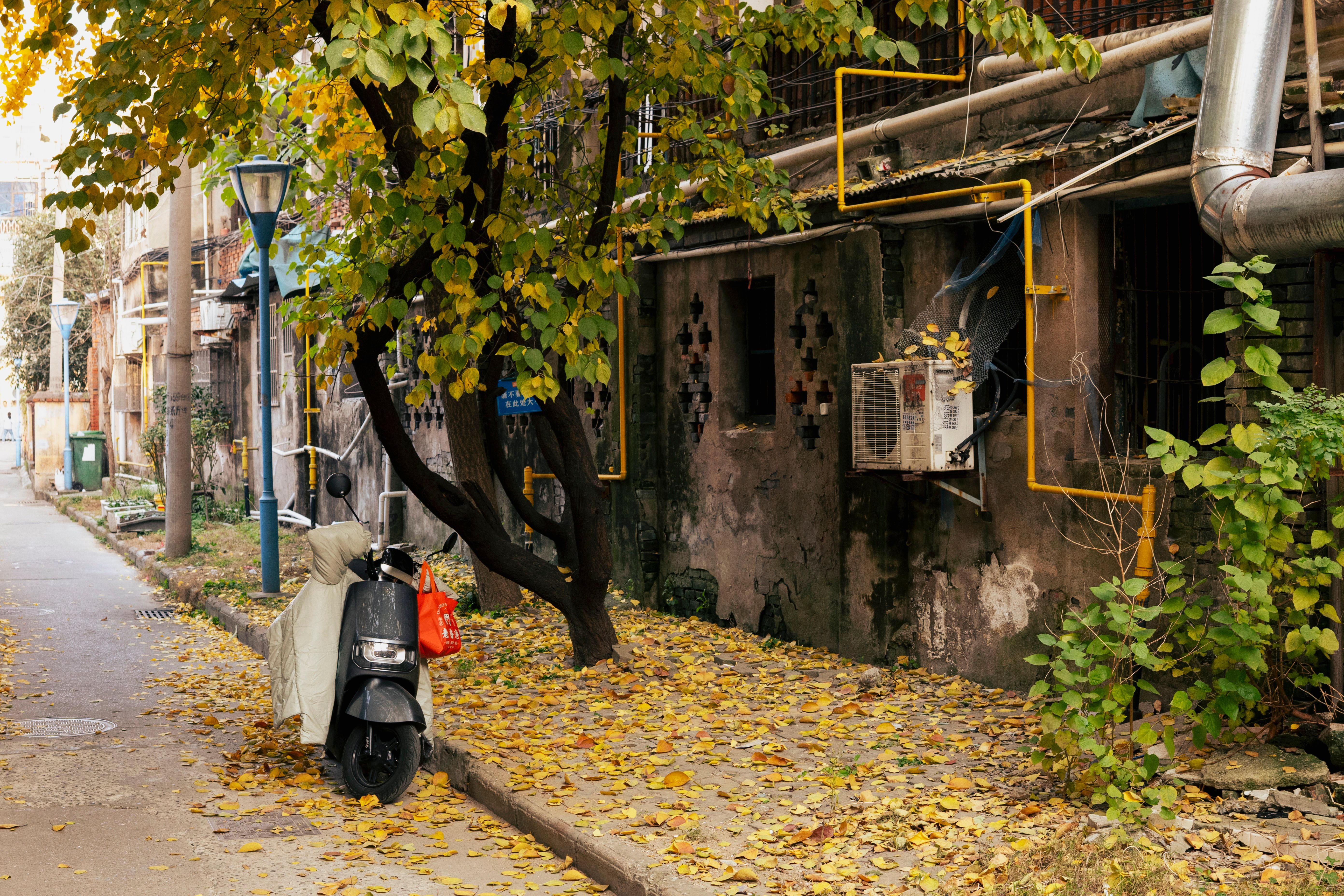 There’s An Electric Scooter Gold Rush Happening In India — Photo by 小雨 赛赛 on Pexels