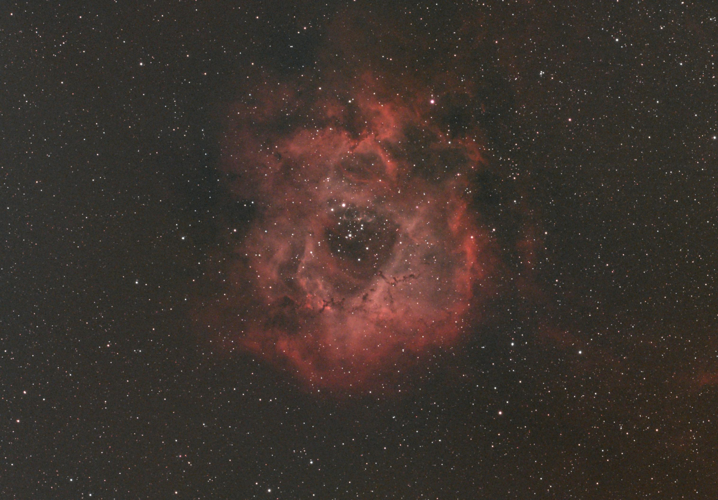 A breathtaking image of the Rosette Nebula, showcasing the vivid cosmic structures of deep space.