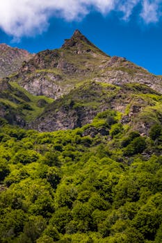 Vivid mountain landscape in Occitanie, France with lush green trees and clear blue sky.