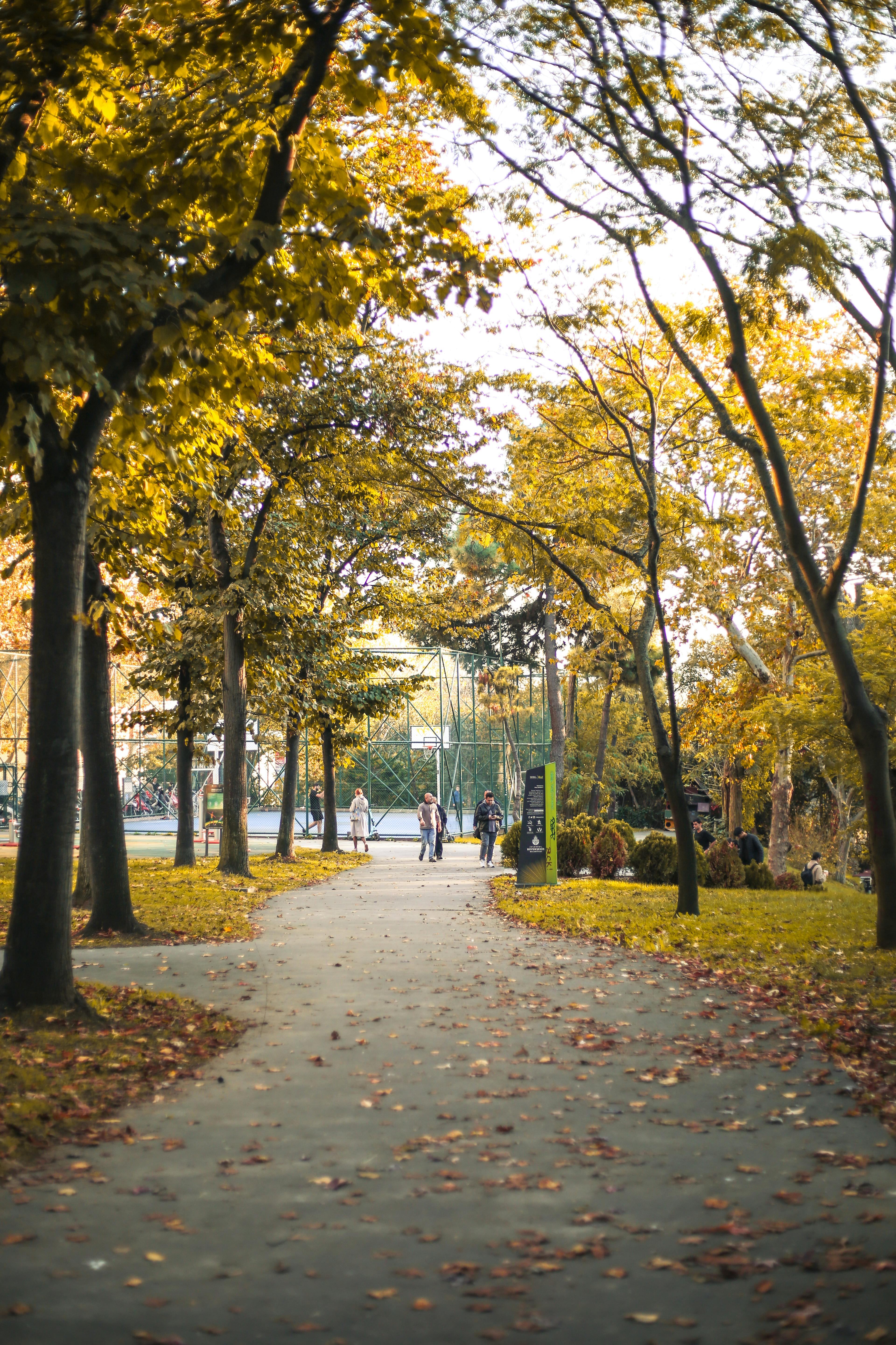 10 Tips For The Weekend Handy Person