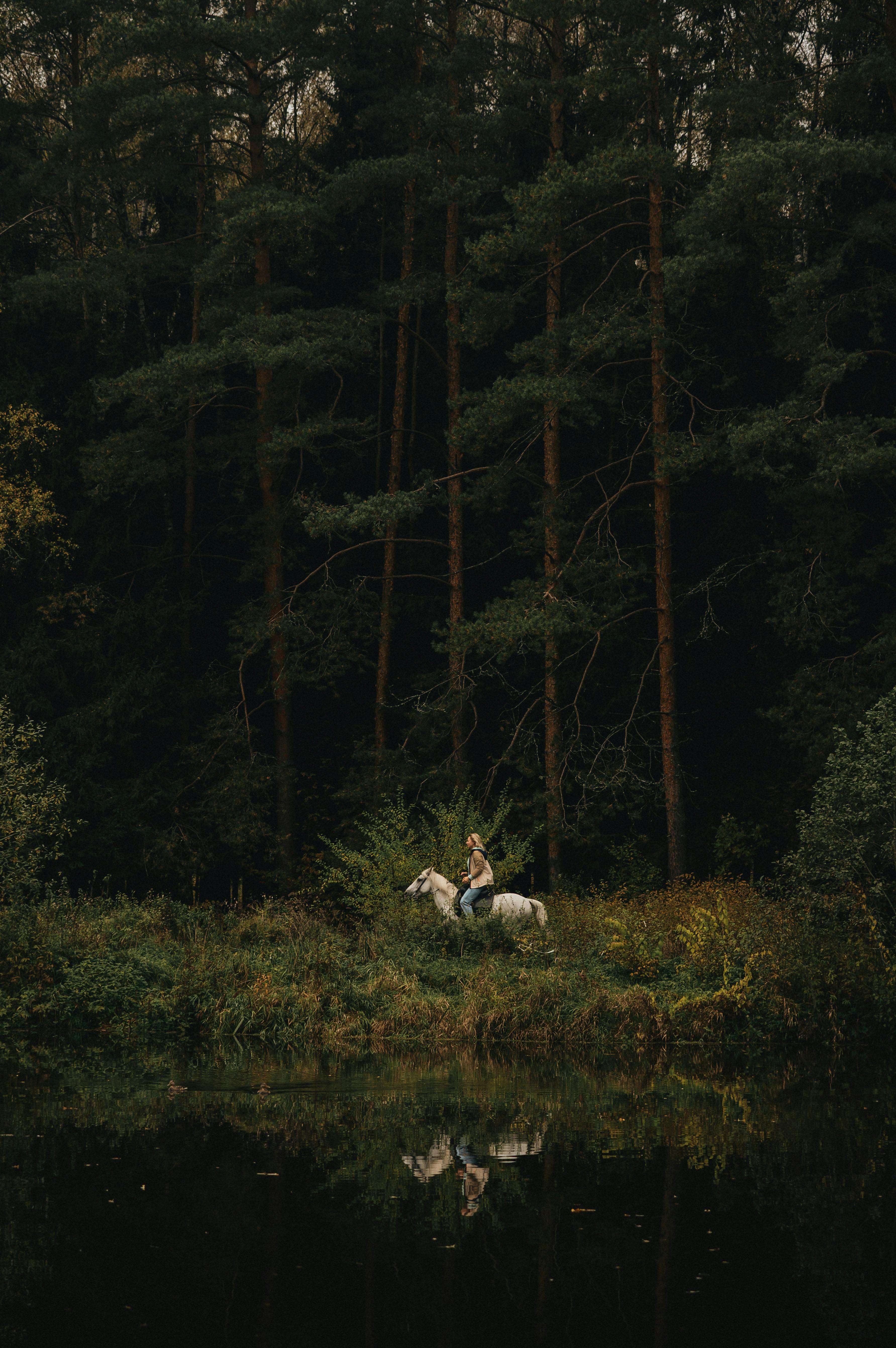 A serene scene of a rider on a white horse by a forest and a reflective pond.