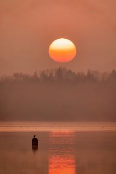A tranquil sunrise over a misty lake with a bird perched on a buoy, creating a peaceful and atmospheric scene.