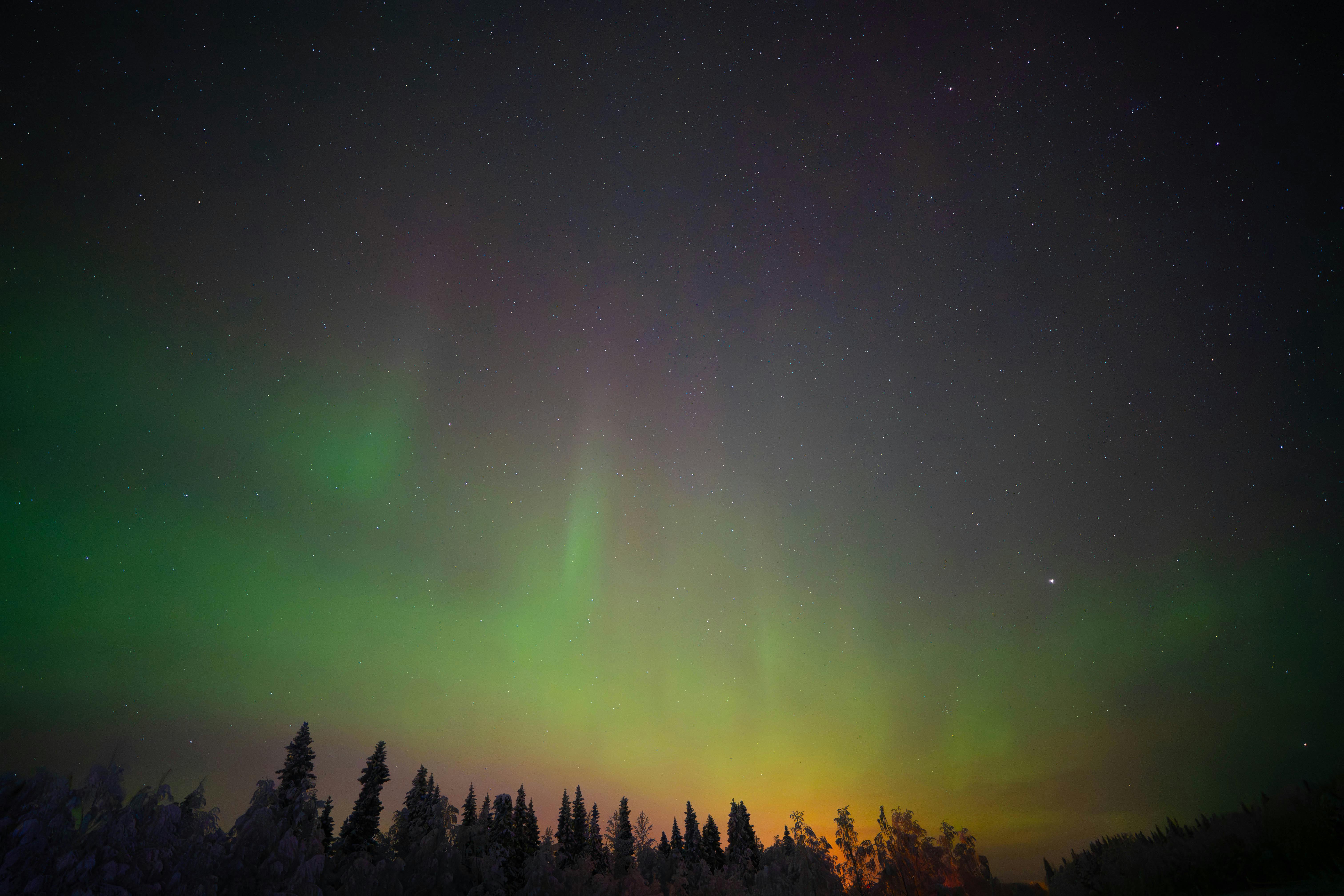 Vivid green aurora borealis illuminating the night sky above a Finnish forest.