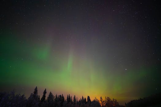 Vivid green aurora borealis illuminating the night sky above a Finnish forest.