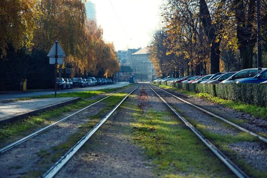 Serene urban railroad view with fall foliage and cars lining the street, capturing a peaceful autumn day.