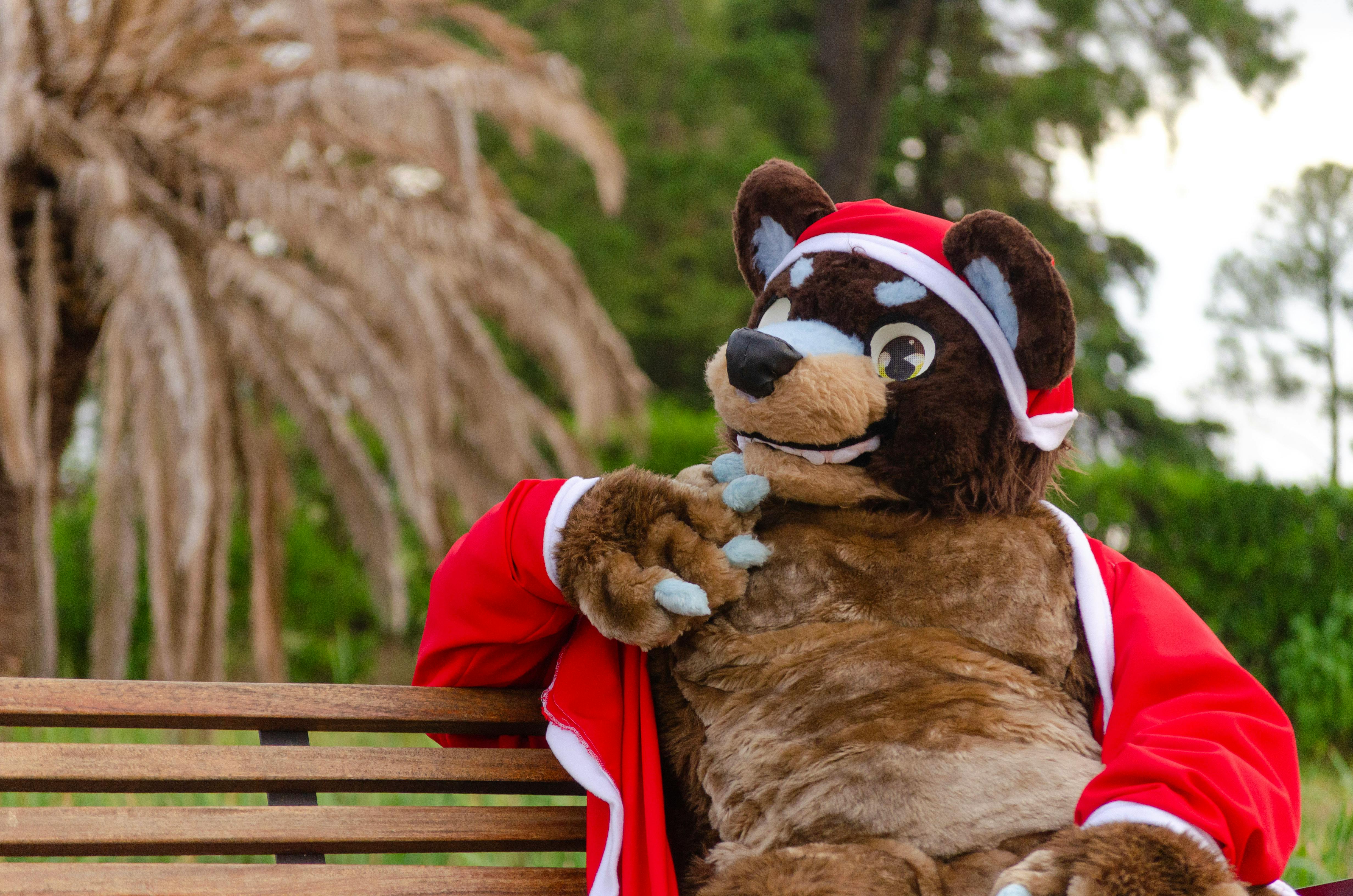 Bear Greg - A Martian Ricorso