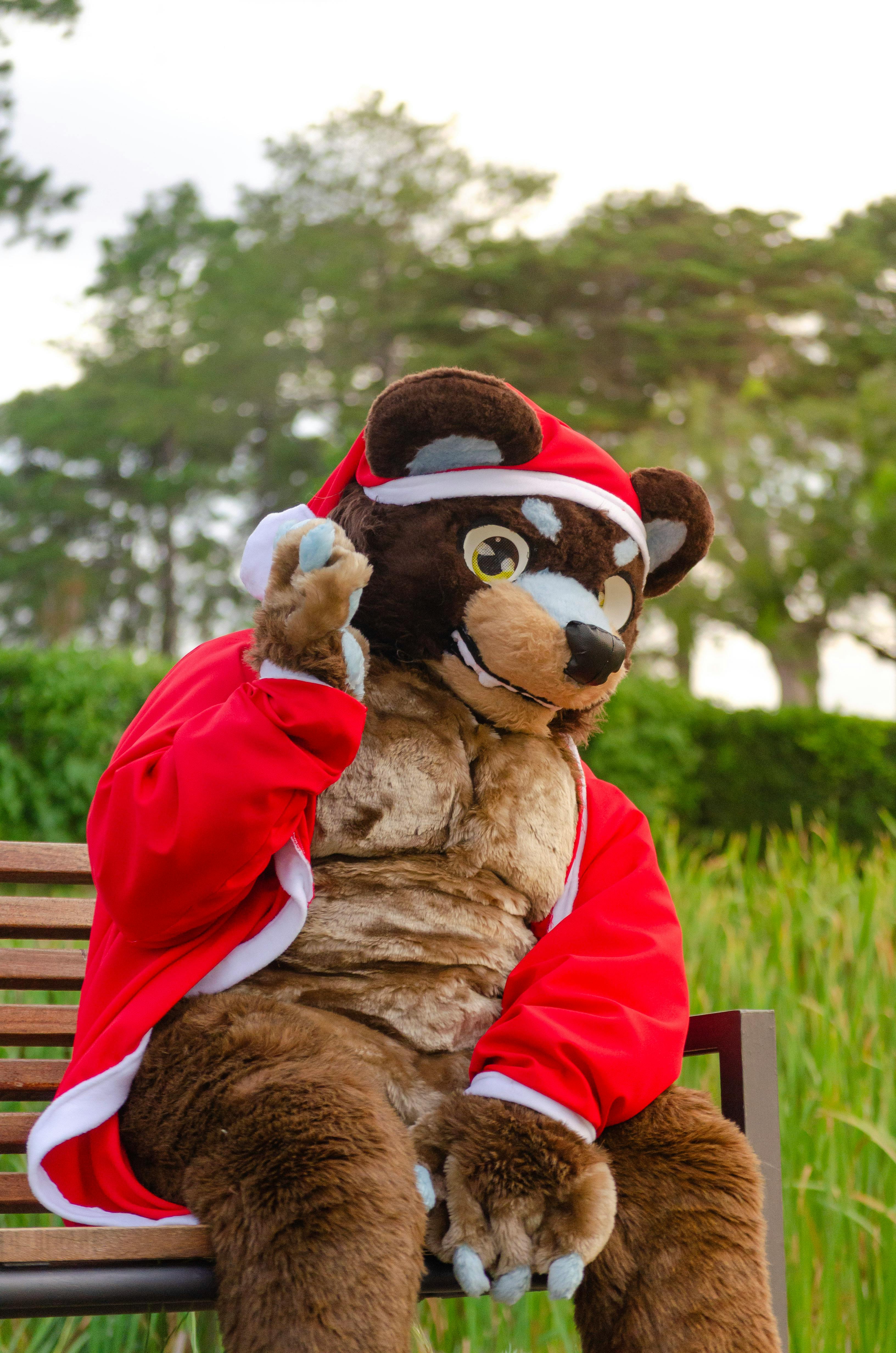 Bear Greg - A Martian Ricorso