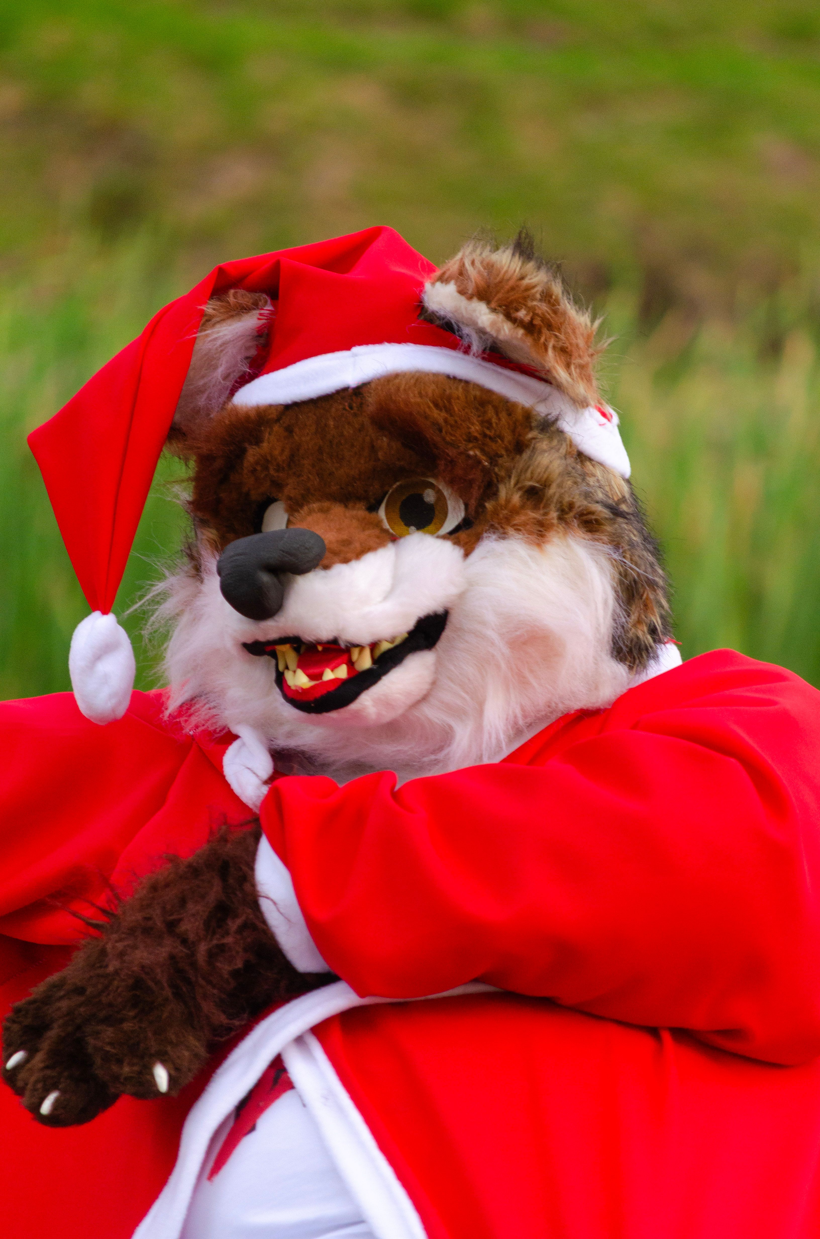 A person in a festive animal costume resembling a fox Santa outdoors.