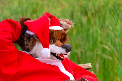 Free A person dressed in a playful fox costume with a Santa hat posing outdoors, creating a joyful holiday vibe. Stock Photo