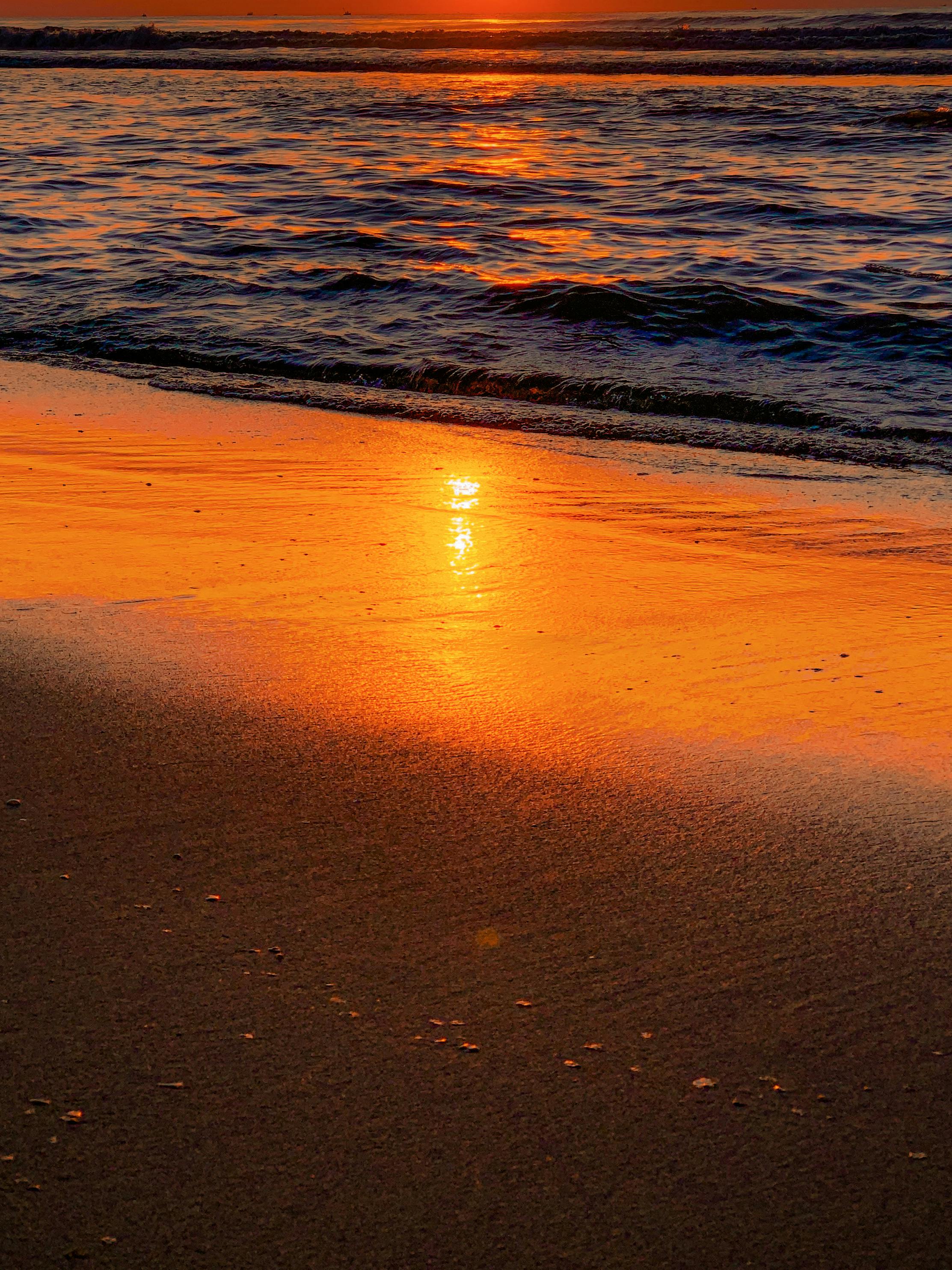 Editable Christmas Opening Hours Template Photos Download The BEST