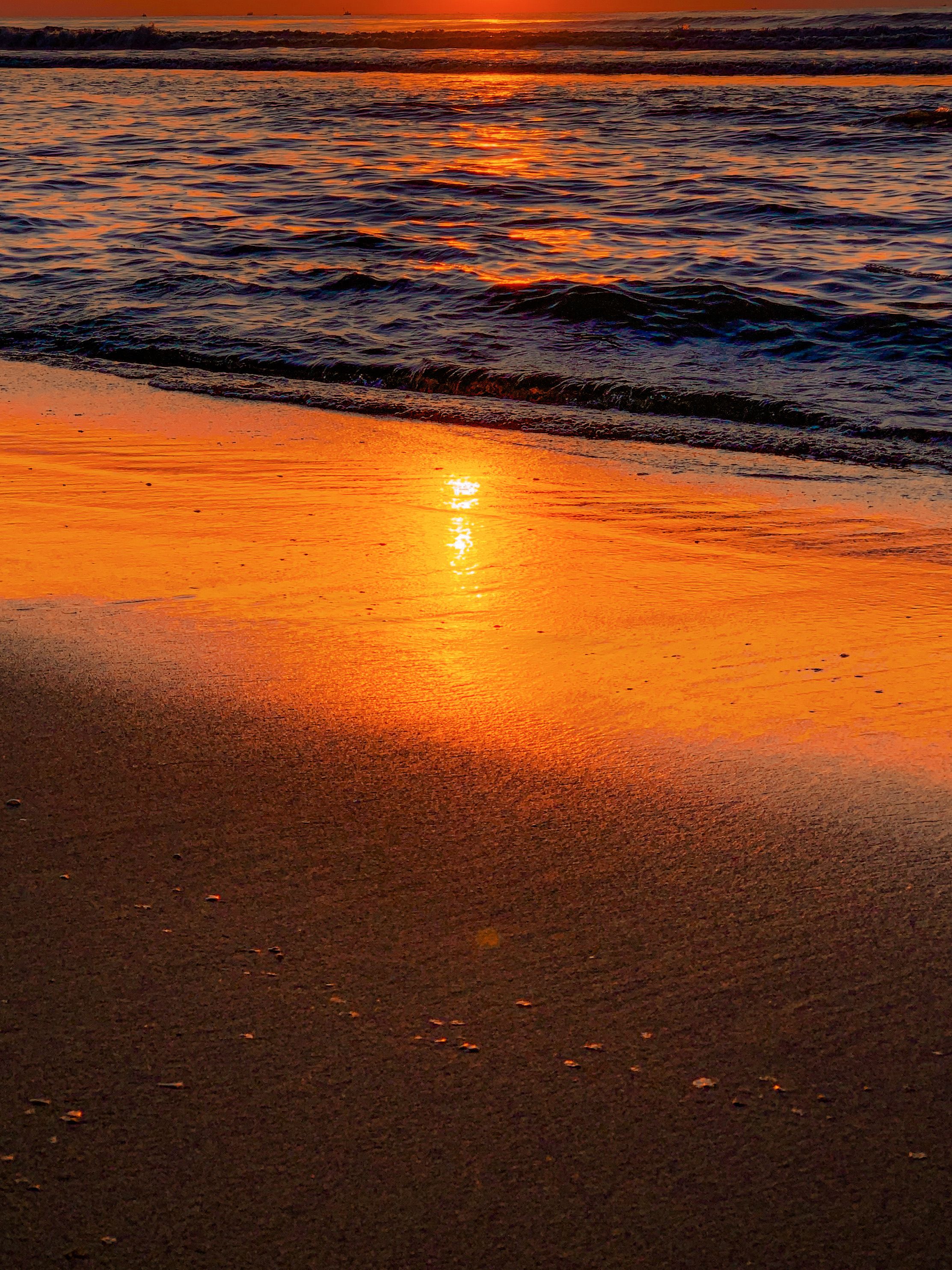 Serene Beach Sunset with Golden Reflections · Free Stock Photo