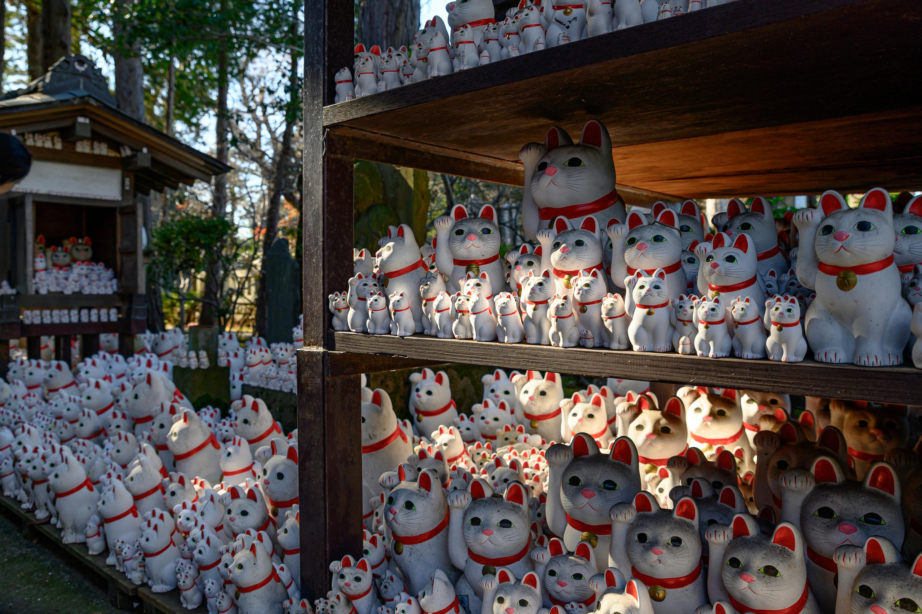 Free stock photo of beckoning cat, cute, gōtokuji