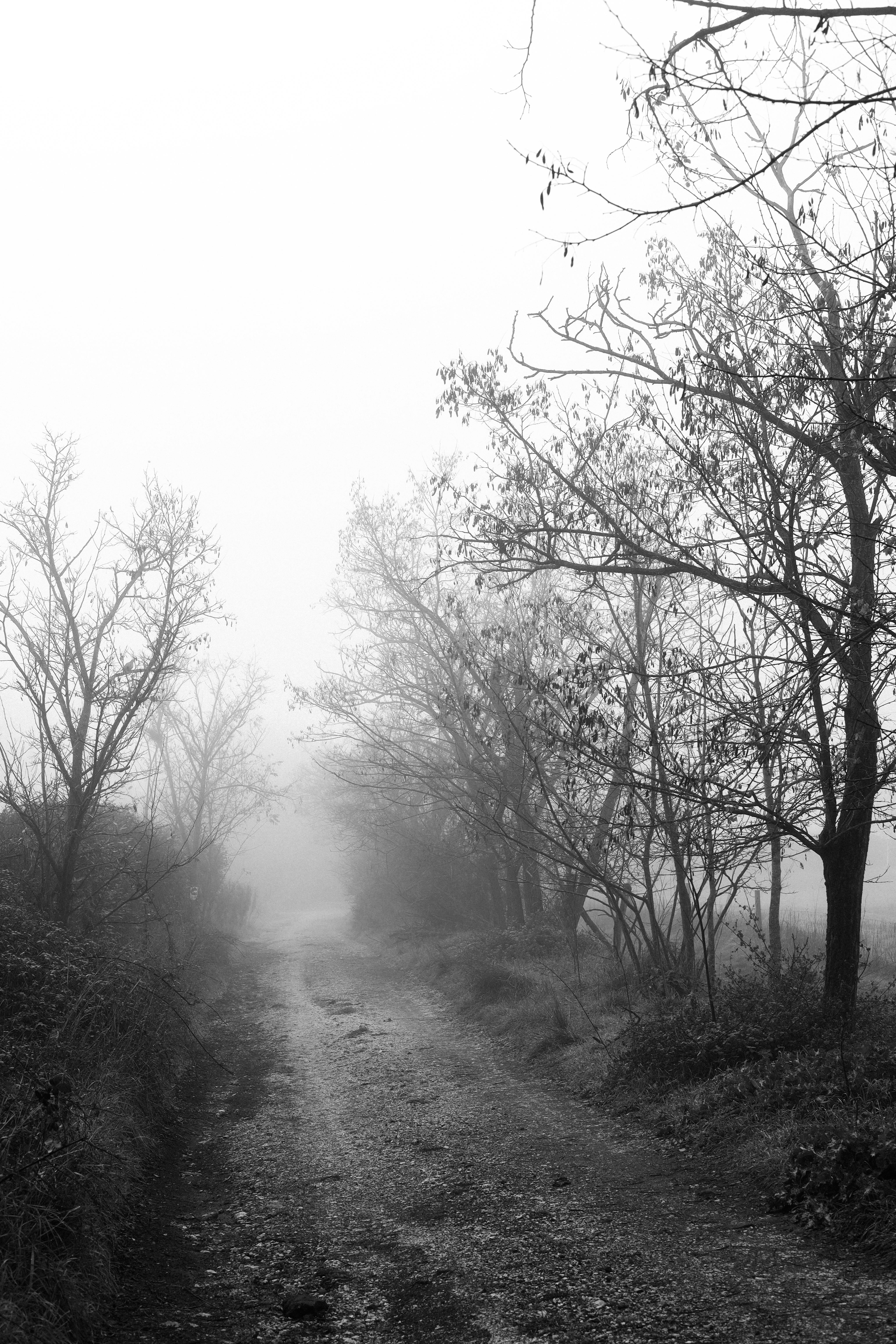 Pruning The Elements