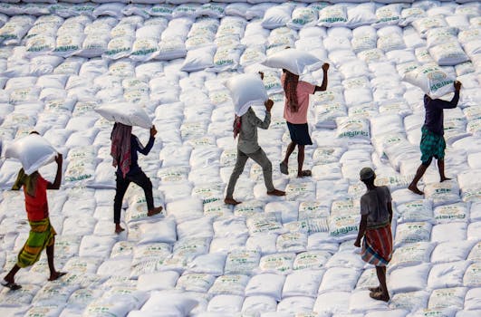 Vista aerea di operai che trasportano sacchi di riso in un grande magazzino.