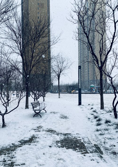 Free A tranquil urban park covered in fresh snow with benches and bare trees during a snowfall. Stock Photo