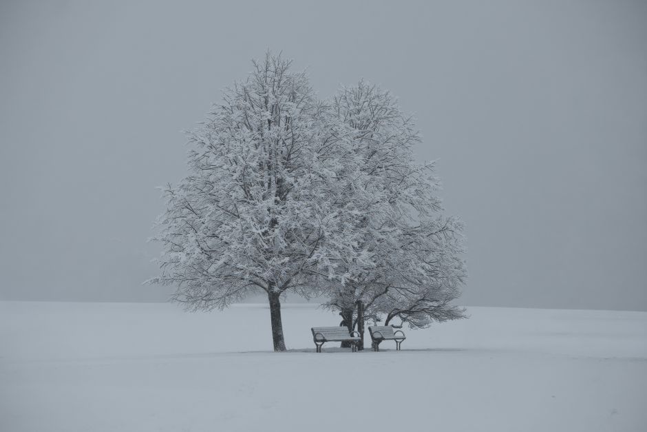 Photo by Cara Denison on pexels