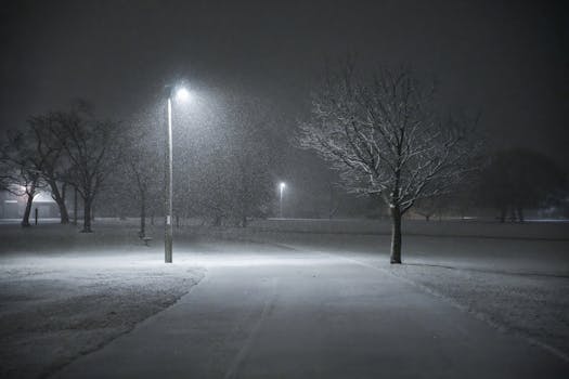 Silent snowy night captured with glowing streetlights creating a peaceful atmosphere.