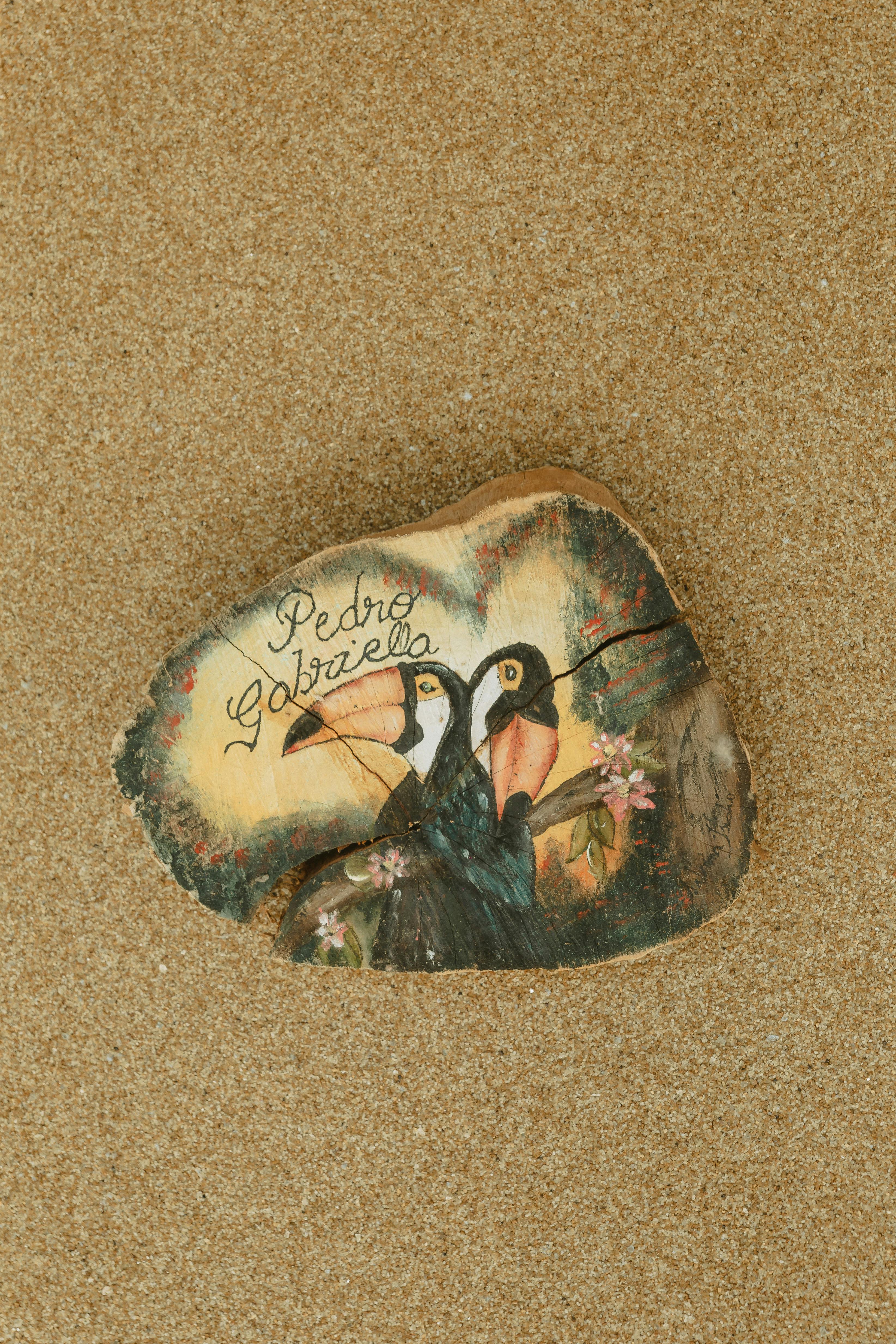 A hand-painted slice of wood featuring two toucans in a natural setting on sand.