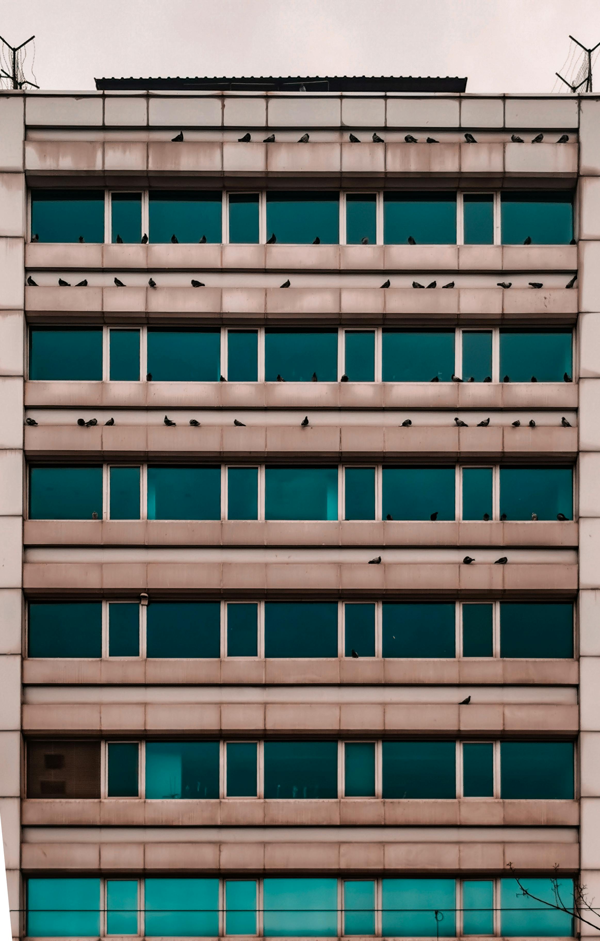 Zadarmo Symetrická výšková budova s ​​vtákmi na rímsach a tyrkysovými oknami. Fotka z fotobanky