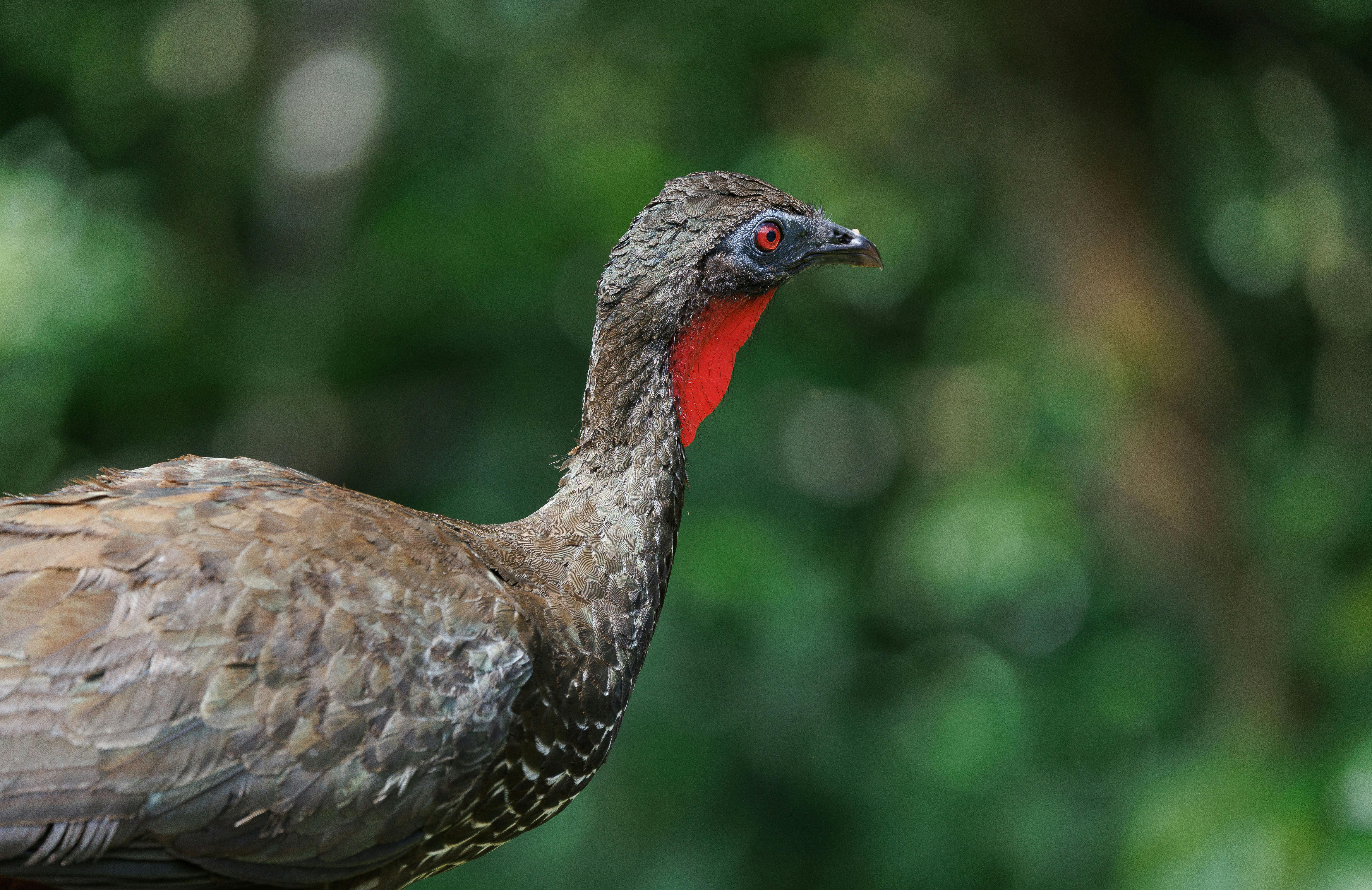 Mastering Negotiation in High Stakes Situations