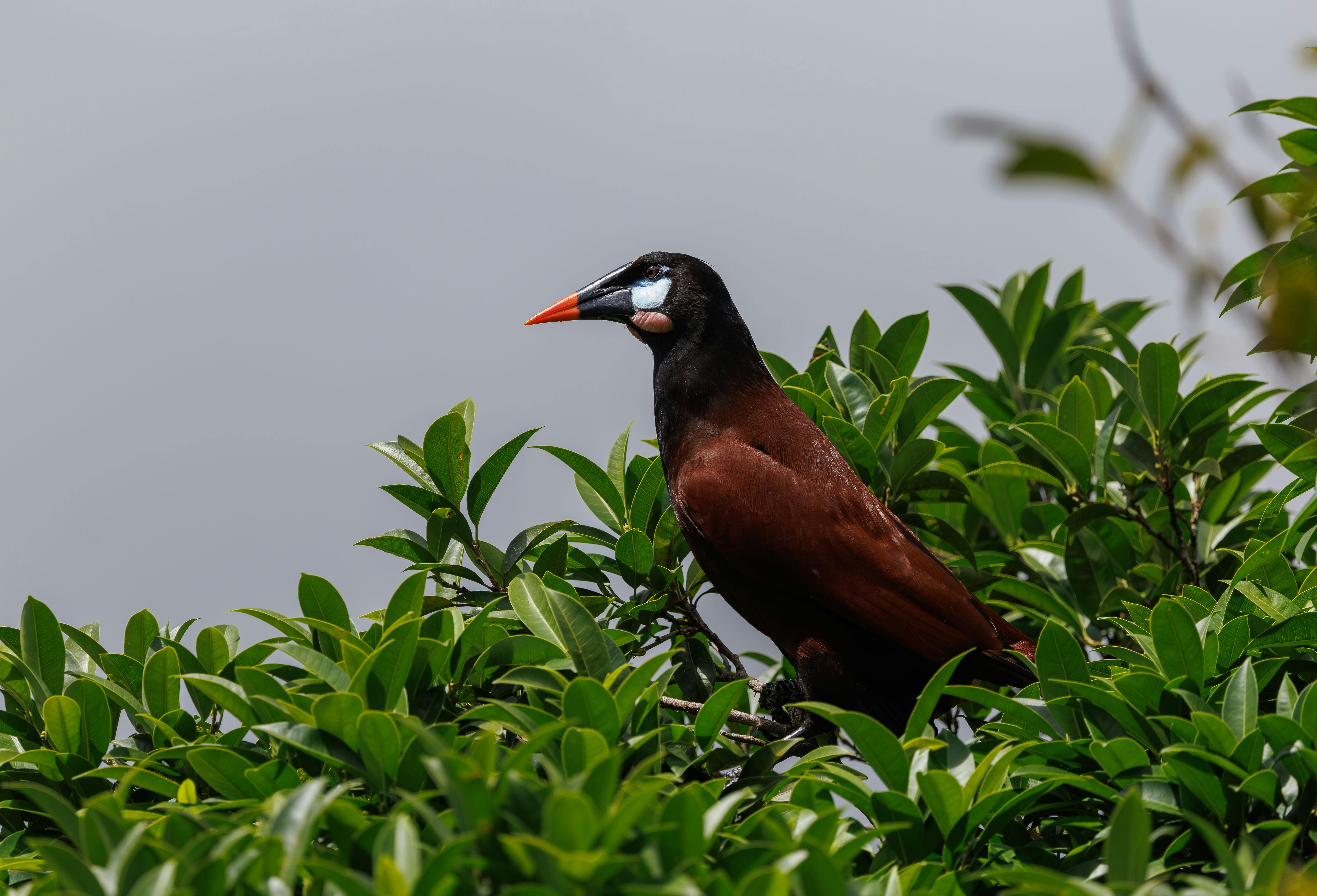 Haunted Forest Discoveries: Unveiling Nature’s Mysterious Secrets