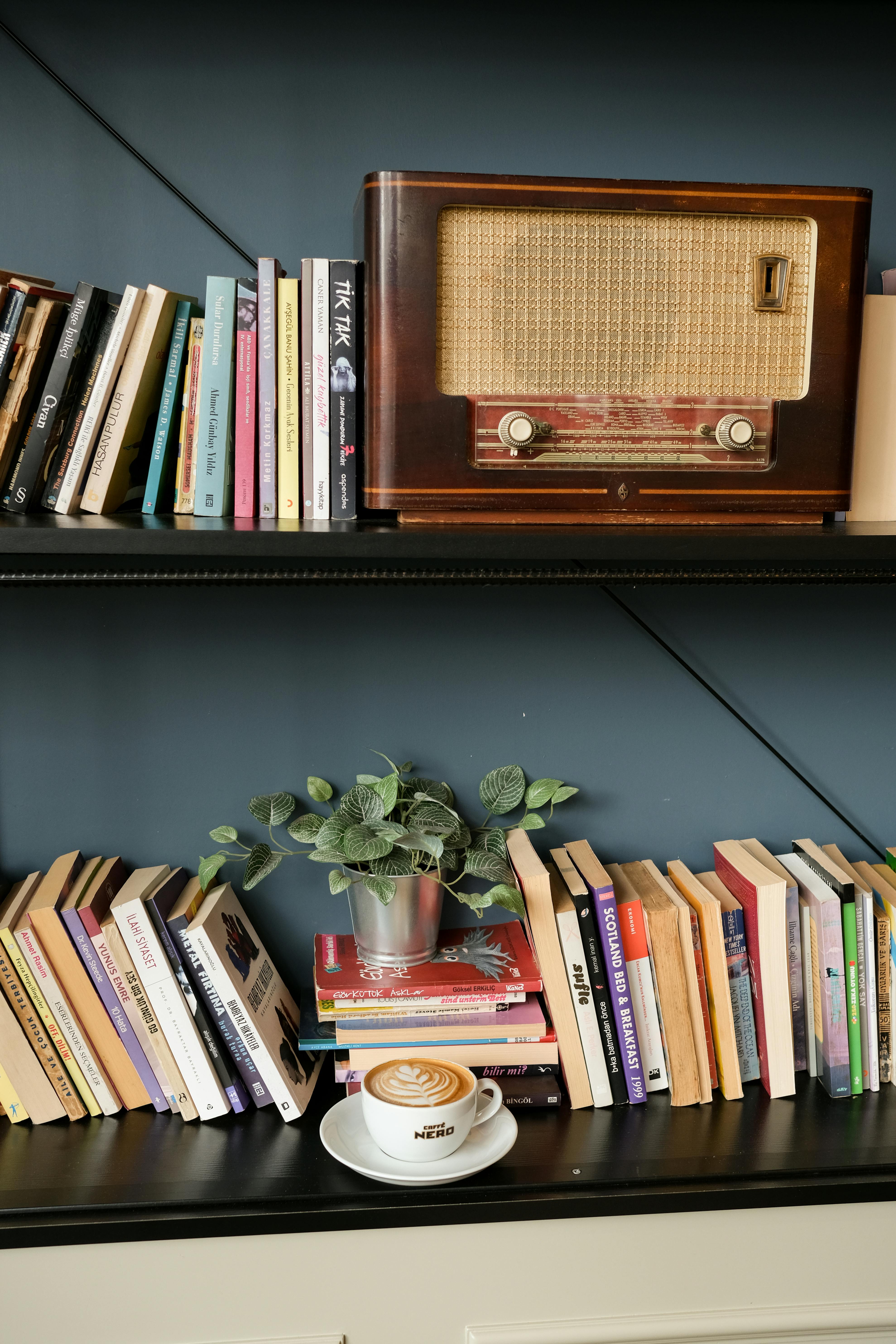 Bear Greg - Darwin 01 Darwins Radio