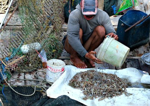A fisherman on a boat sorts a fresh shrimp catch, surrounded by nets and containers.