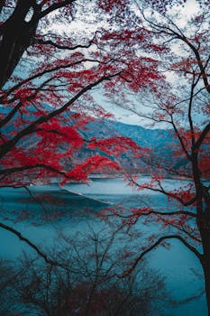 Stunning view of vibrant red leaves over water in Okutama, Tokyo, capturing the essence of autumn.