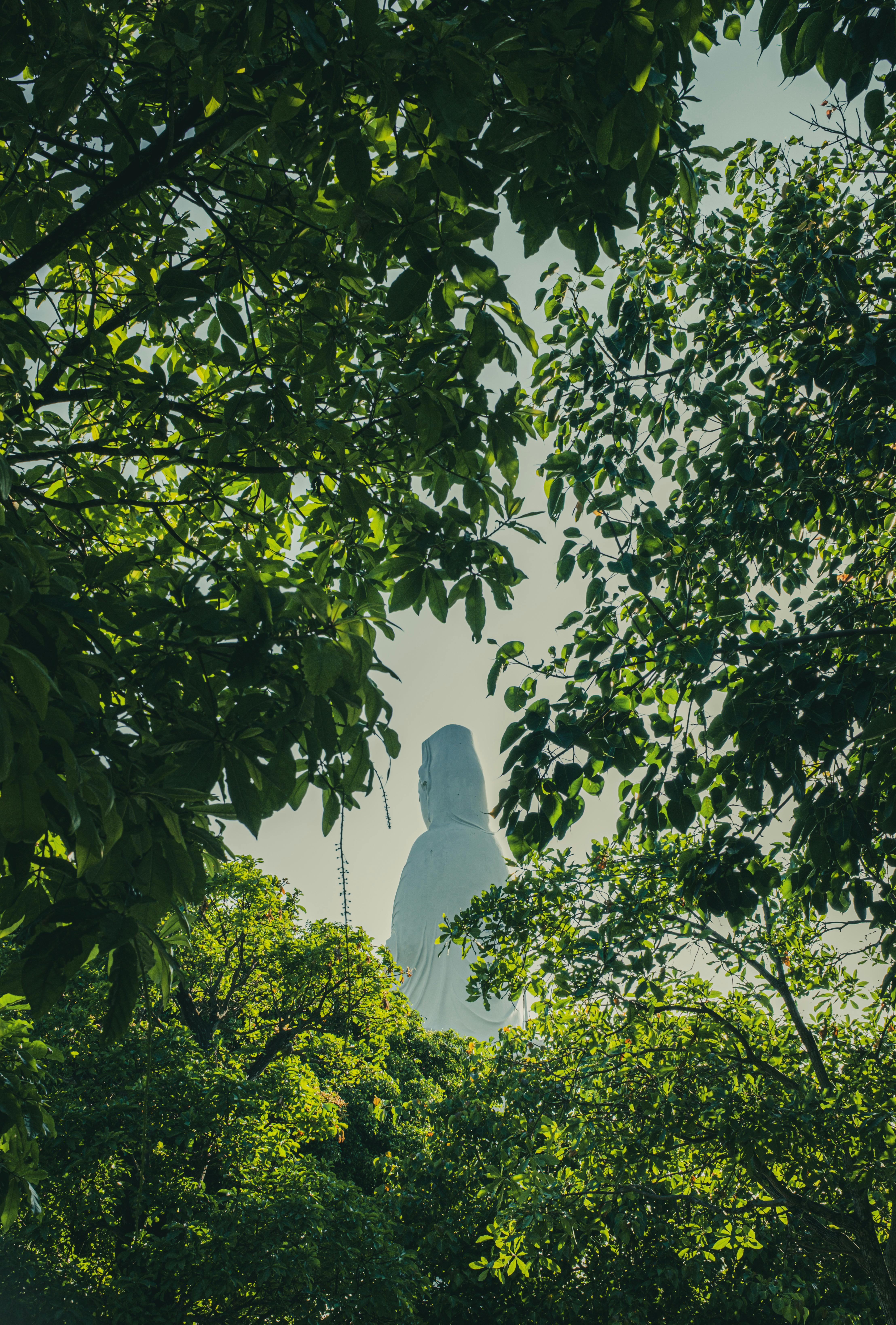 Buddhism Meditation.Txt