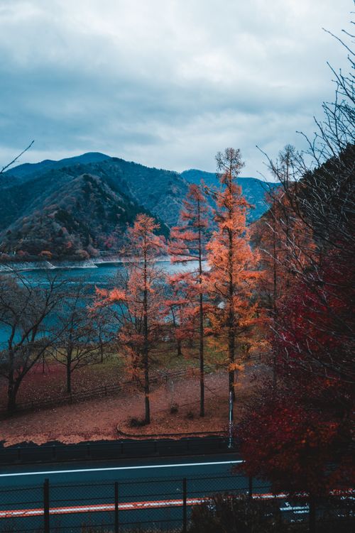 Free Enchanting autumn scene with vibrant foliage by a serene lake and mountain backdrop. Stock Photo