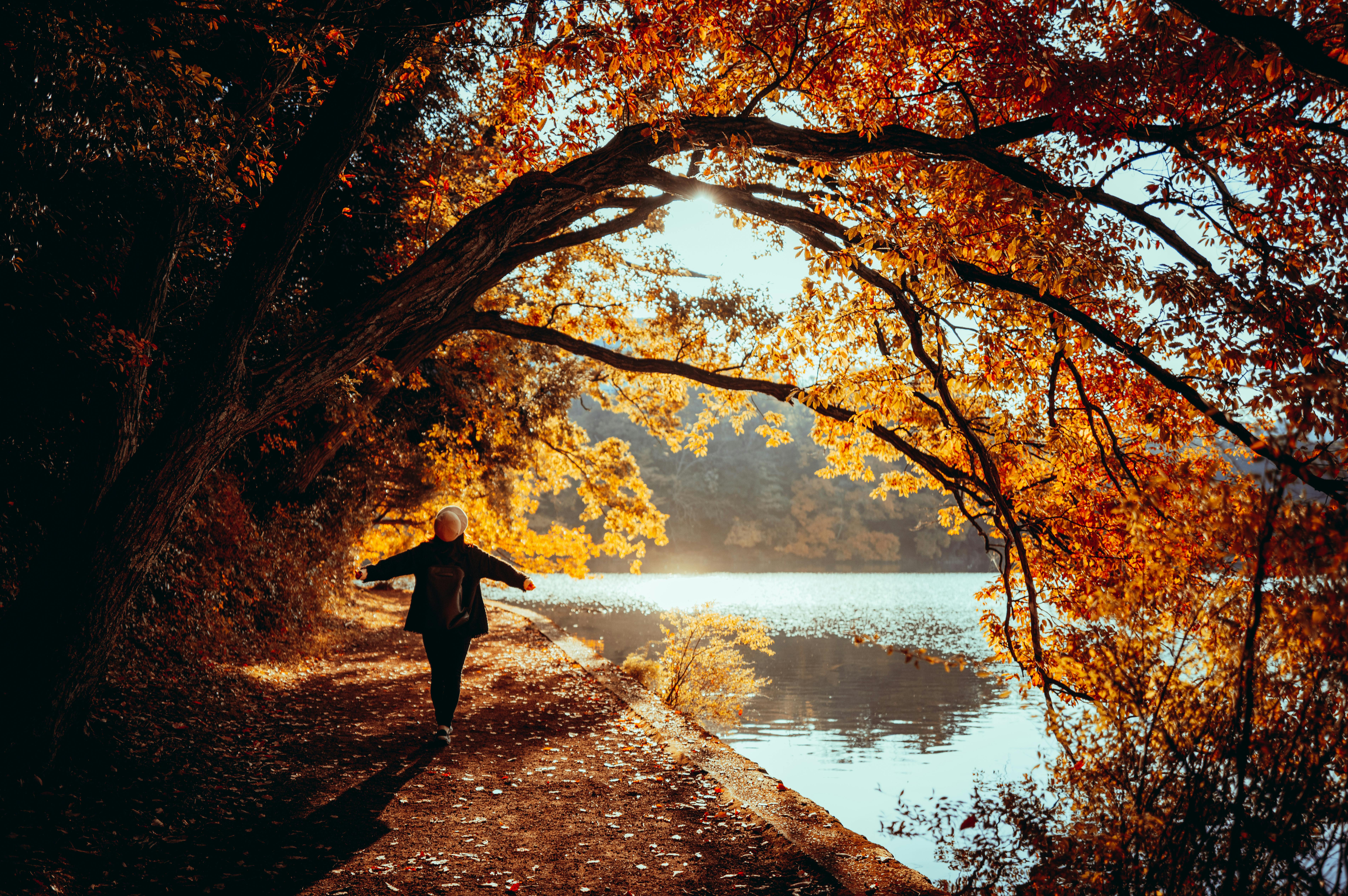 A serene autumn walk along a lake, encased in vibrant orange maple leaves in Itō, Japan.