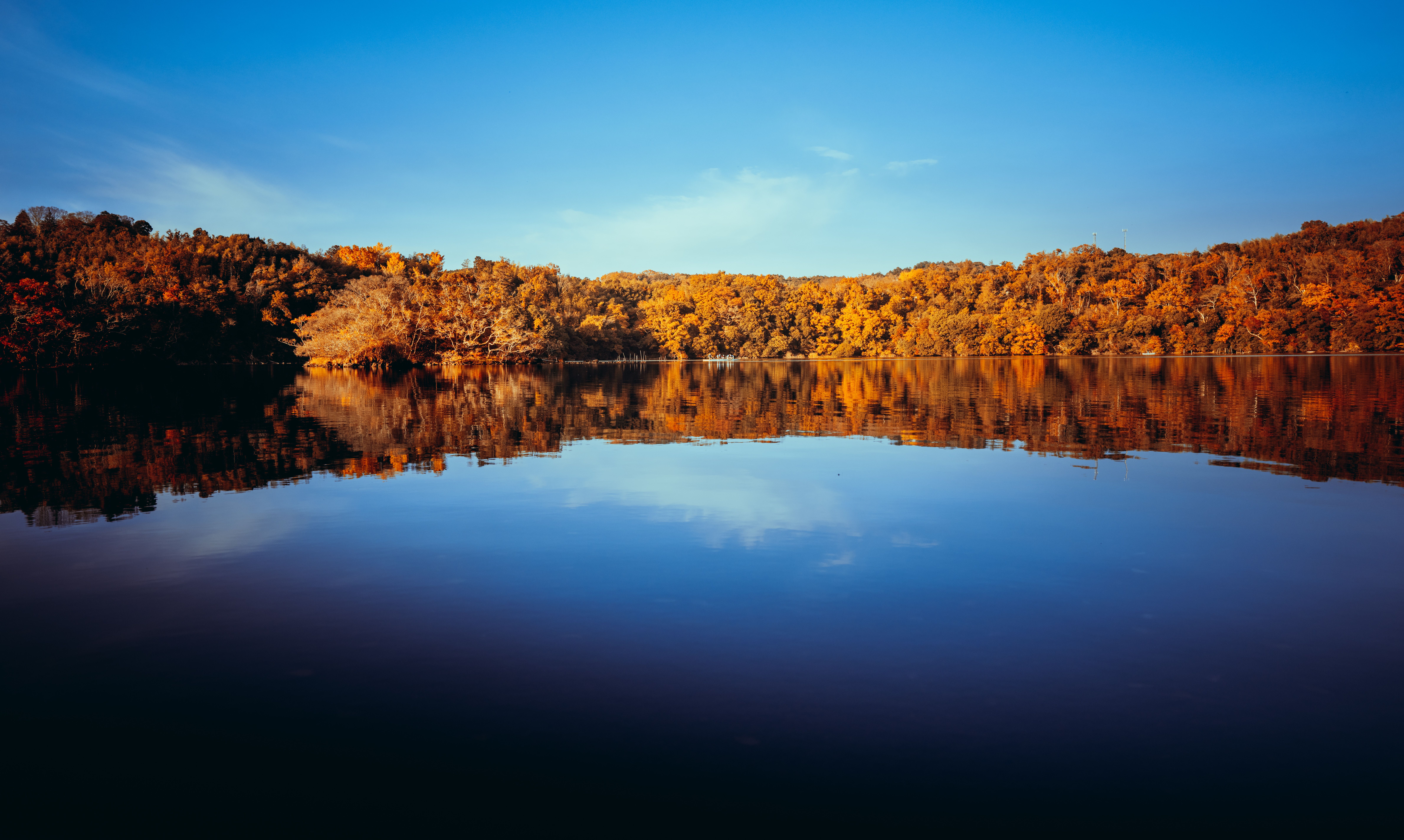 Serene Lake with Autumn Foliage Reflection · Free Stock Photo