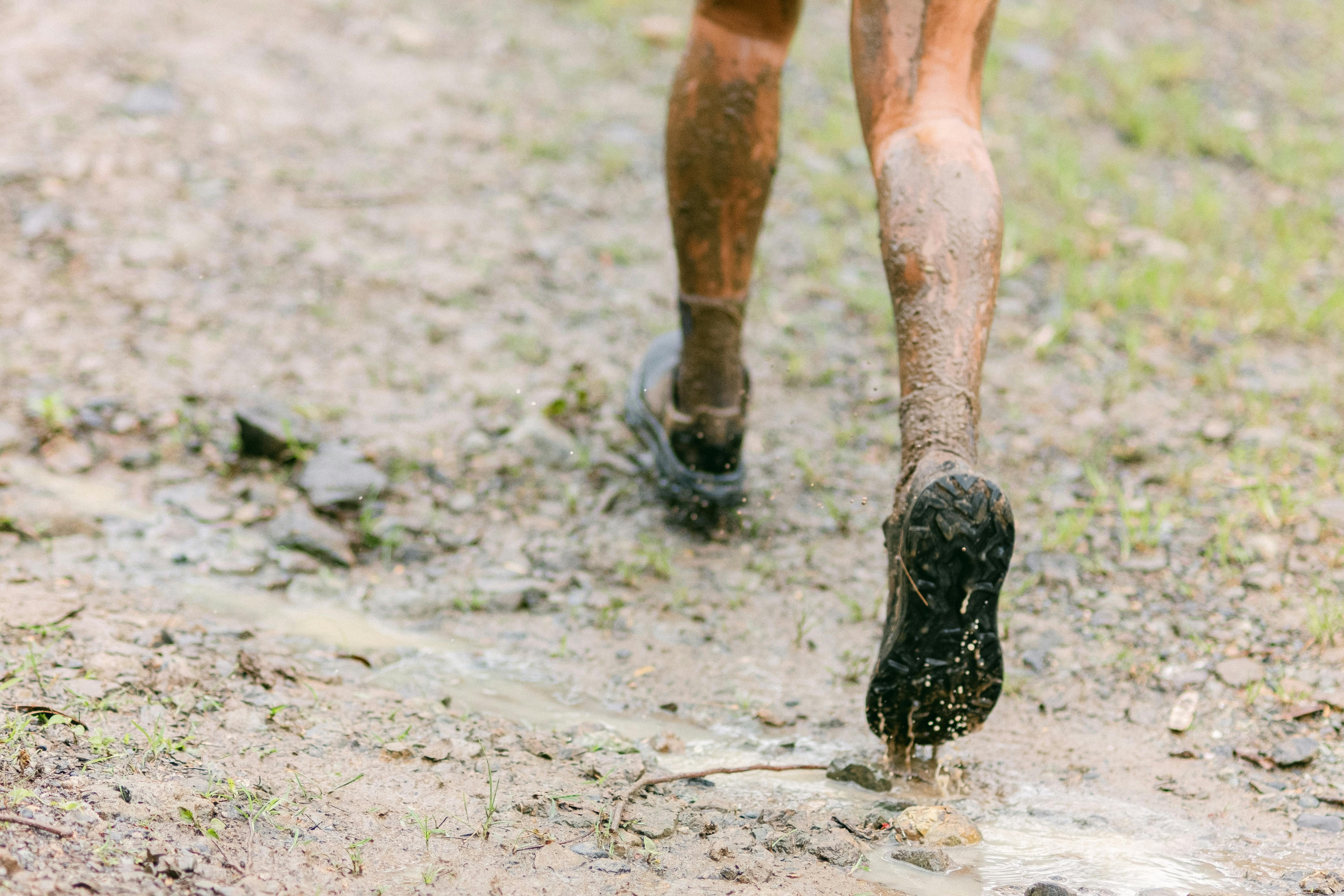 Free stock photo of conquer, evolution, mud
