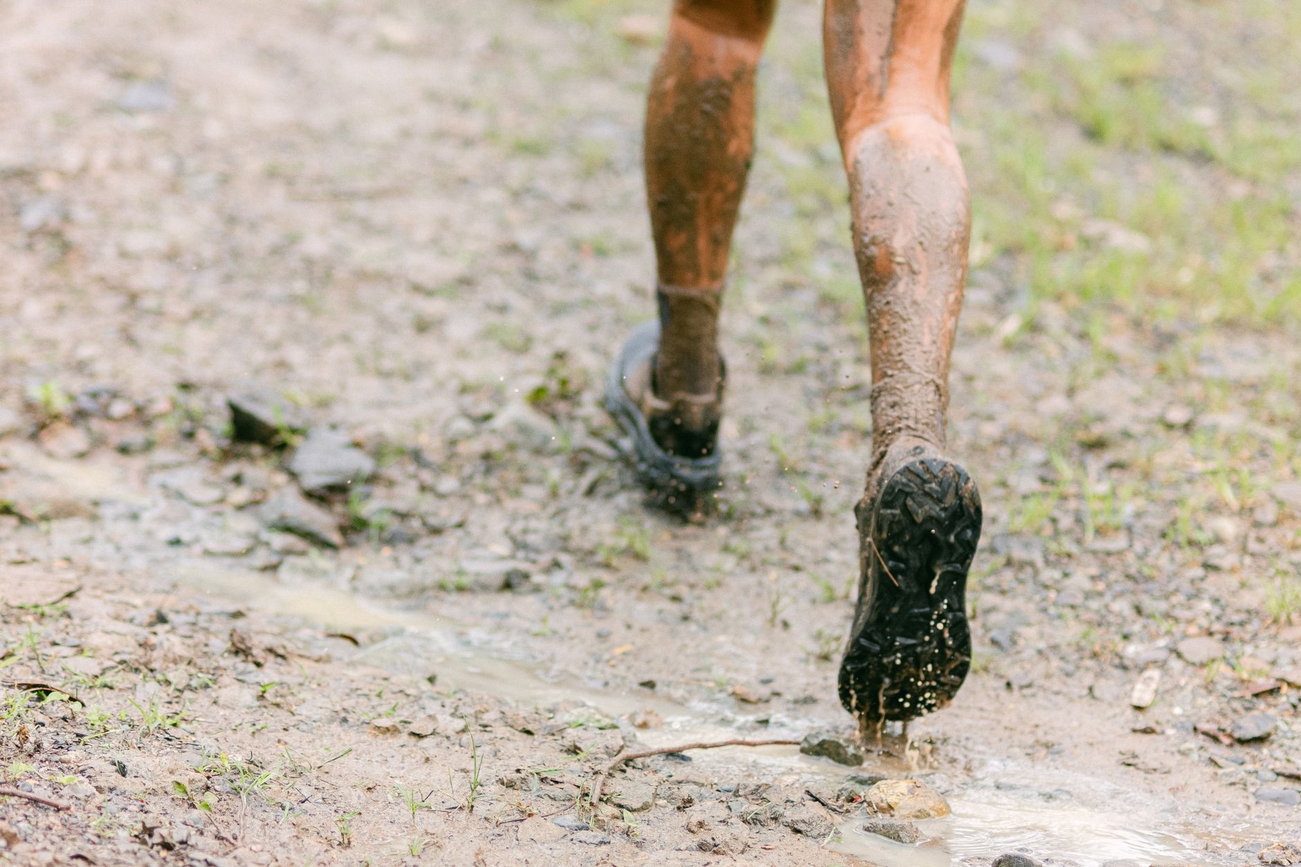 Best Running Shoes for Every Budget in 2026
