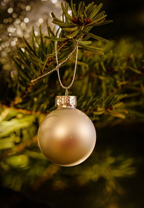 Free A festive Christmas bauble hanging on a pine tree branch, perfect for holiday themes. Stock Photo