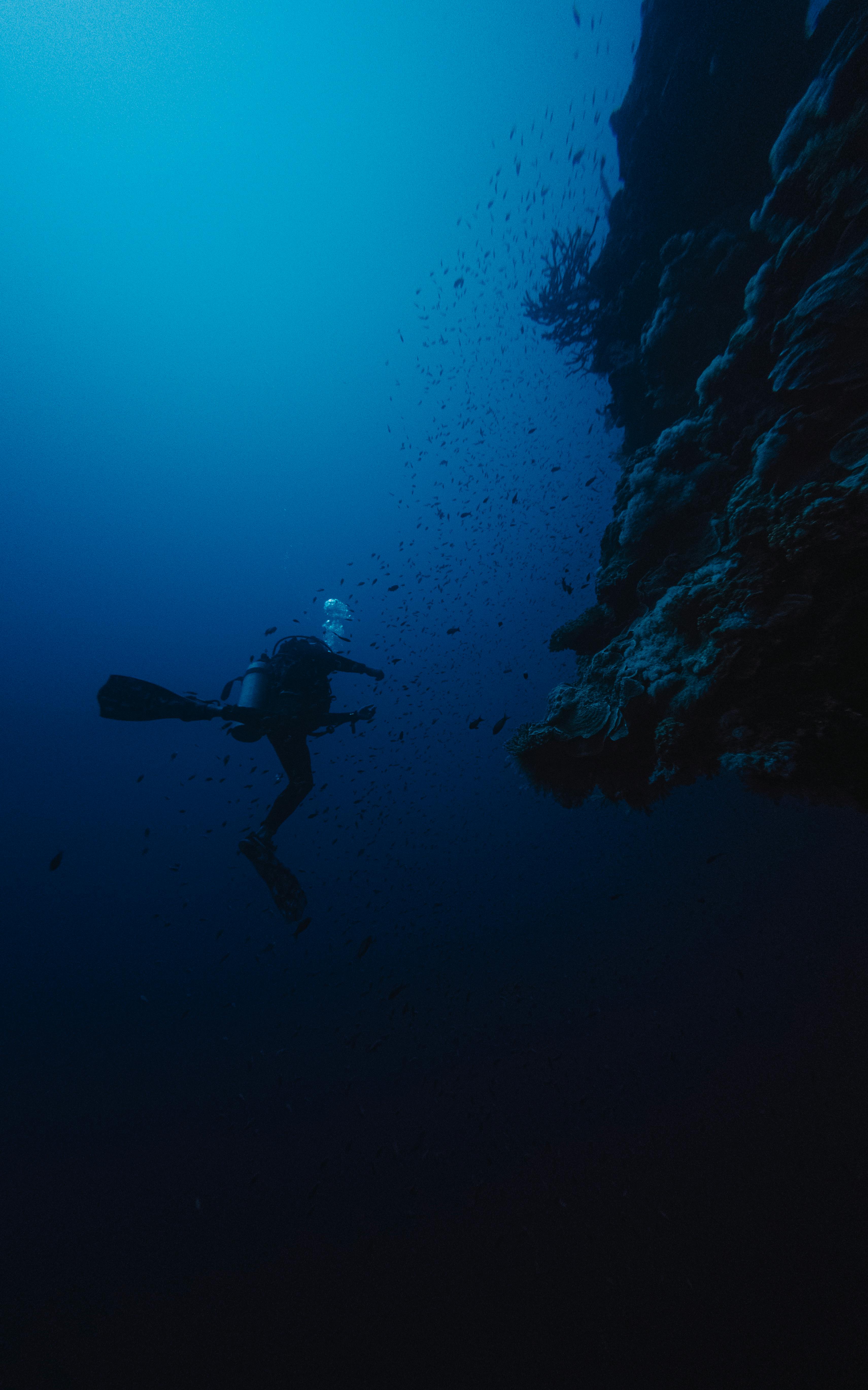Your Guide To Scuba Diving