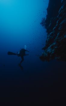 A scuba diver explores a vibrant coral reef in the deep blue waters of South Sinai, Egypt.