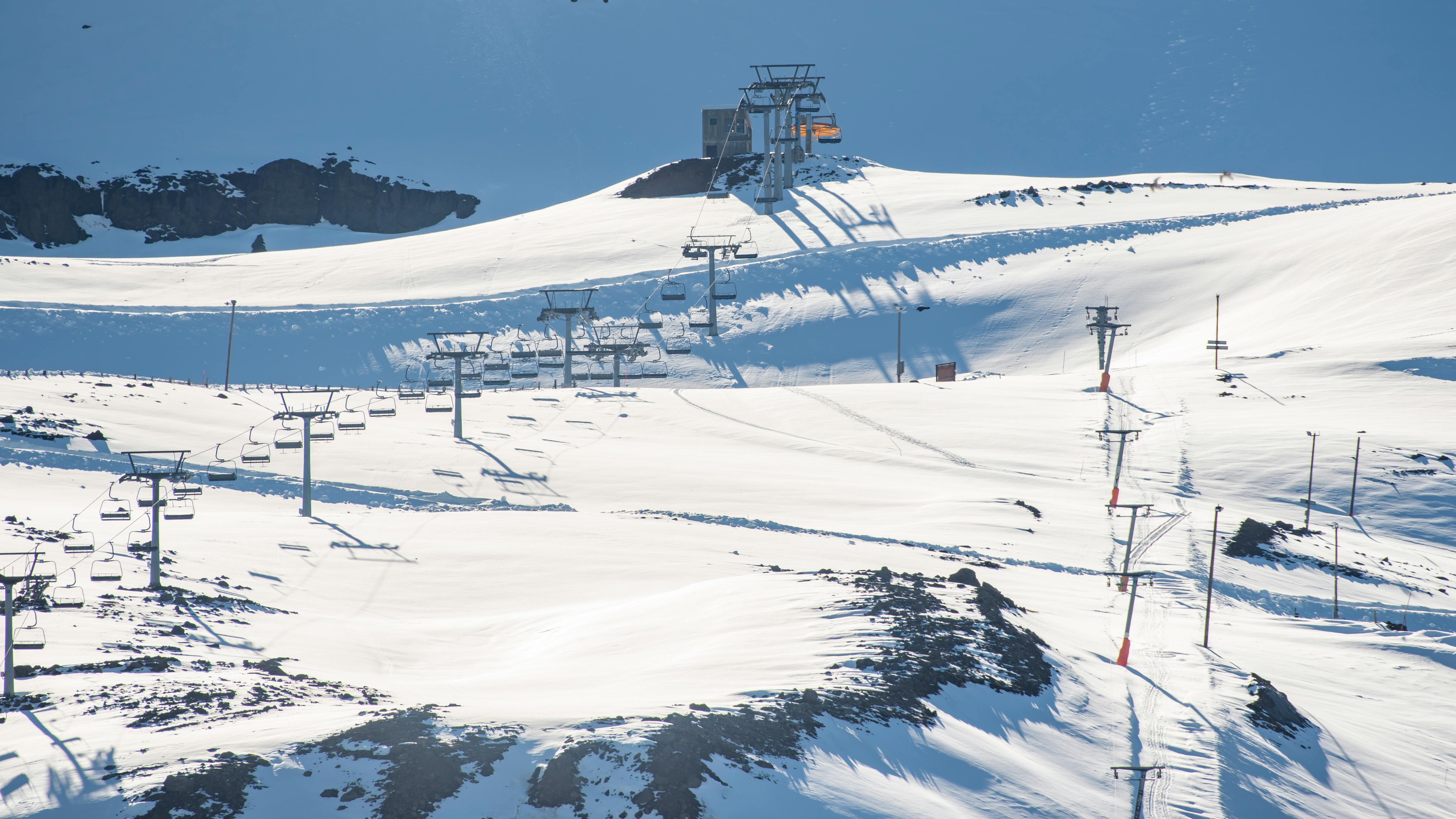 Markhoor: Ancient Herbal Remedy for Modern Health