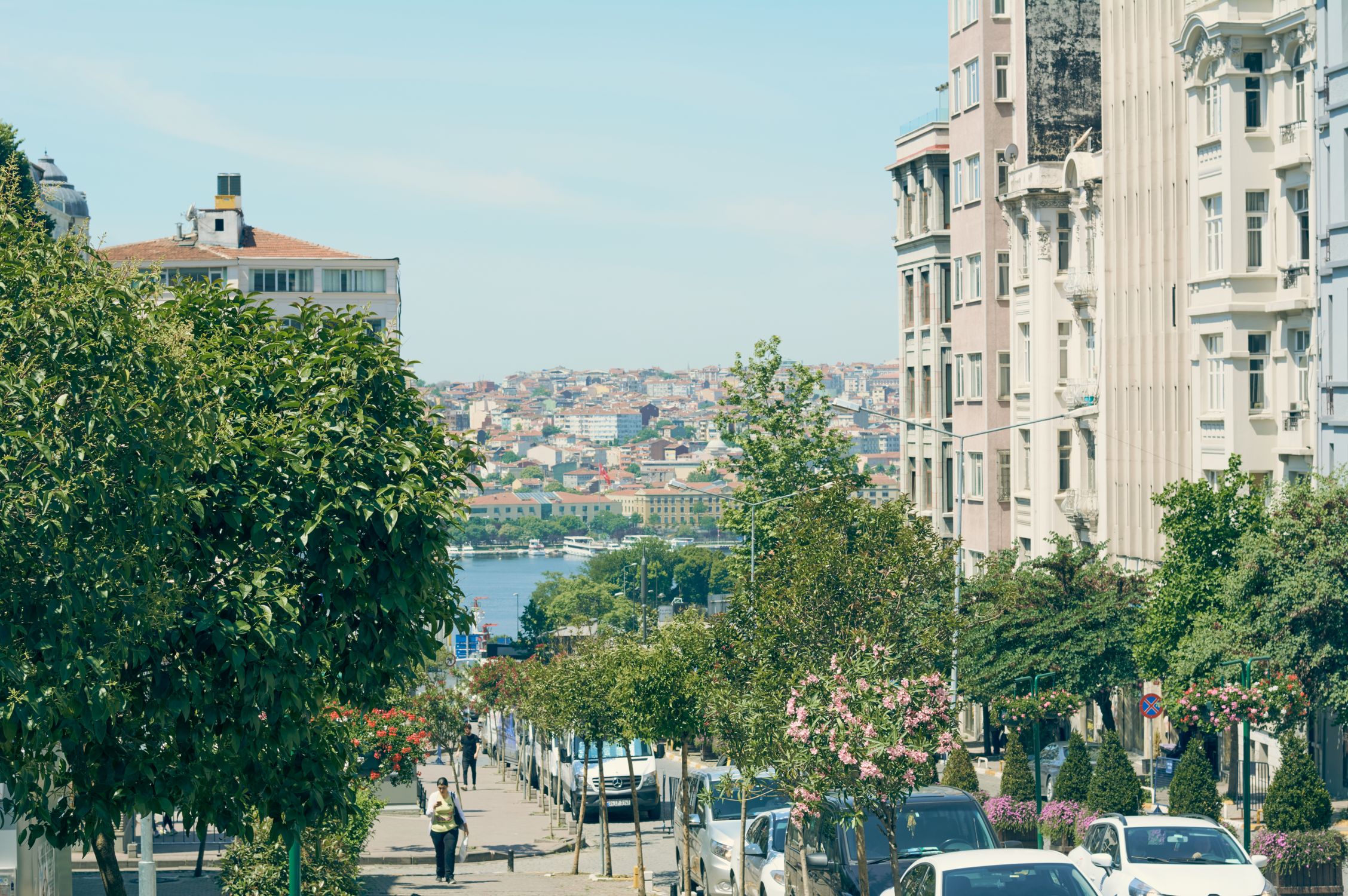 Charming street in Istanbul with view of the Bosphorus, showcasing classic architecture and seasonal greenery.