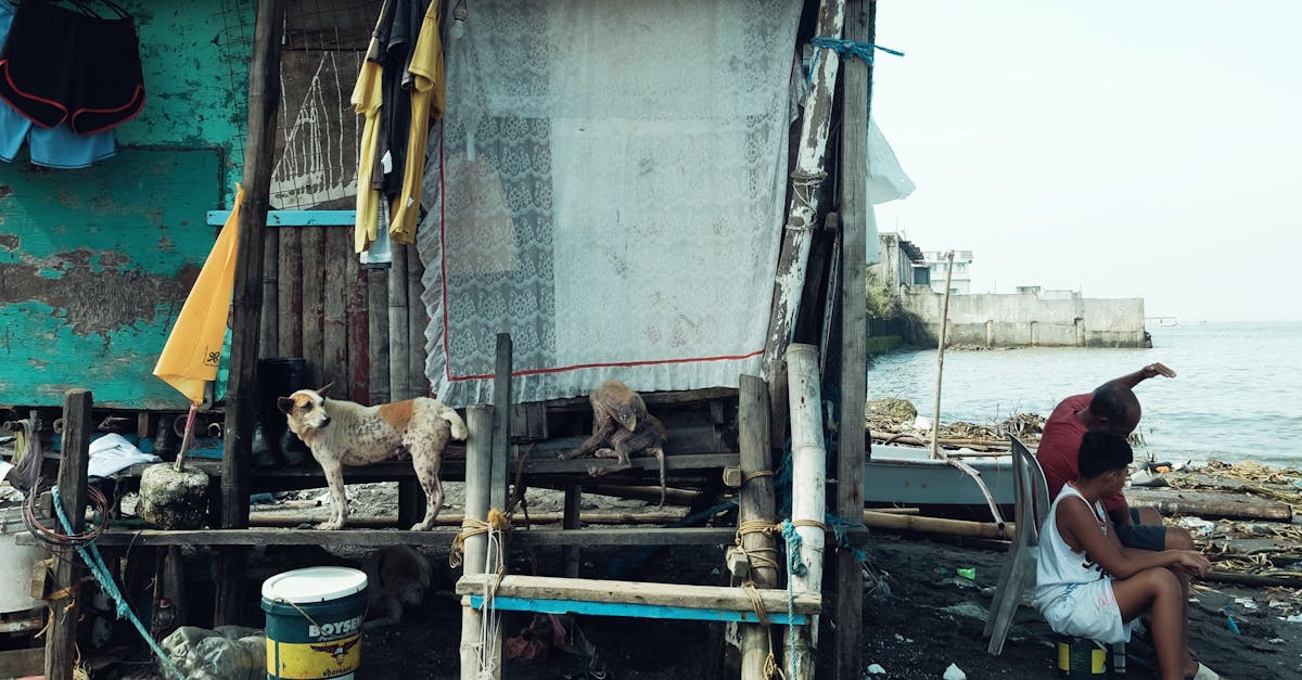 Photo by Mace Pacardo Maui's Housing Crisis: Mayor Bissen Signs Bill 9 into Law, Ushering in Zoning Changes