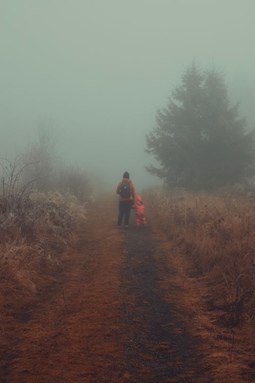 Free A father and child taking a serene walk on a foggy forest path, evoking tranquility and family bonding. Stock Photo