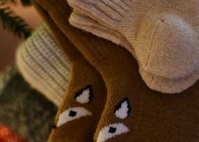 Foto: Darya Grey_Owl · Pexels
