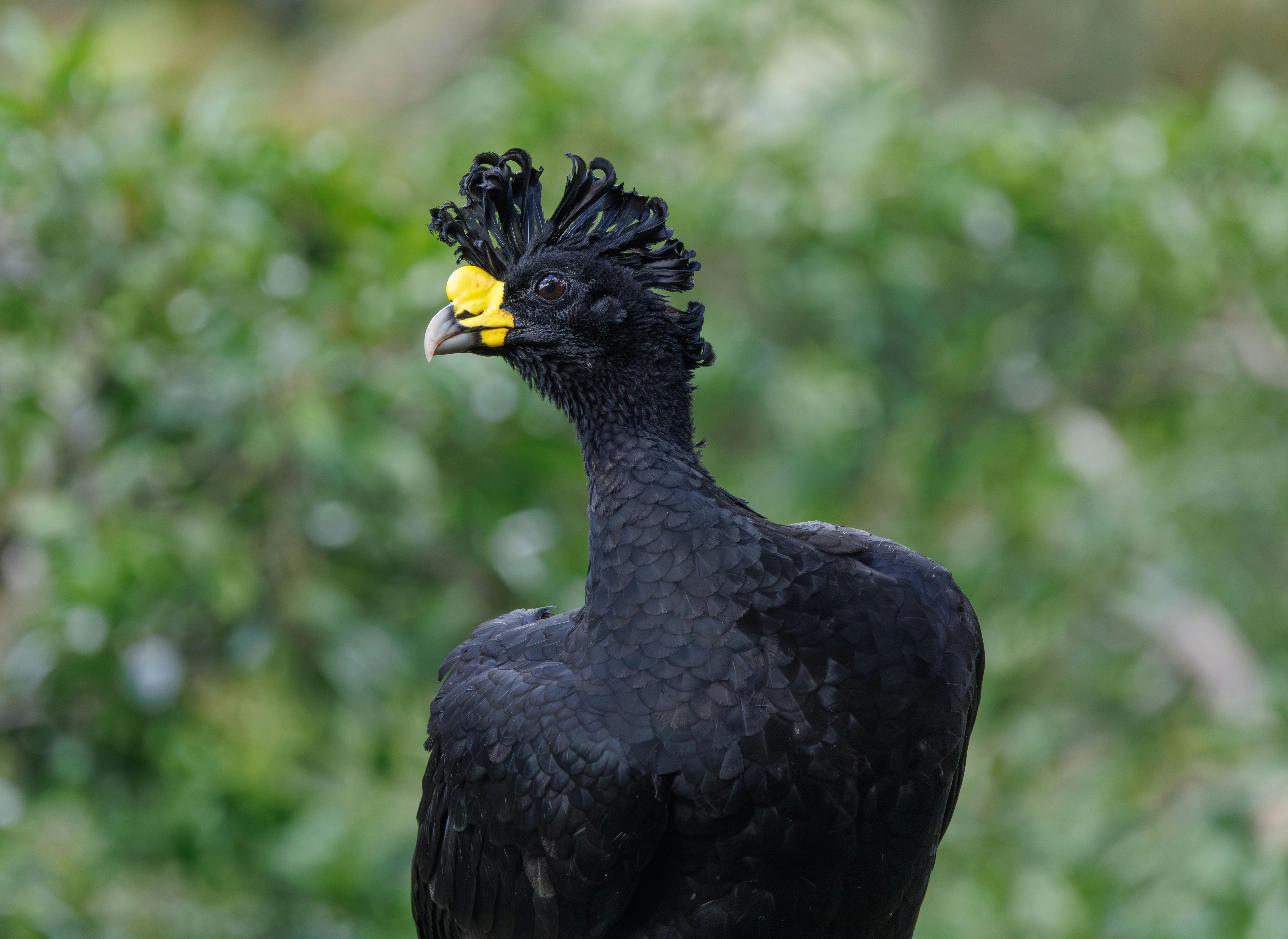 Hidden Perfume Treasures from Around the World