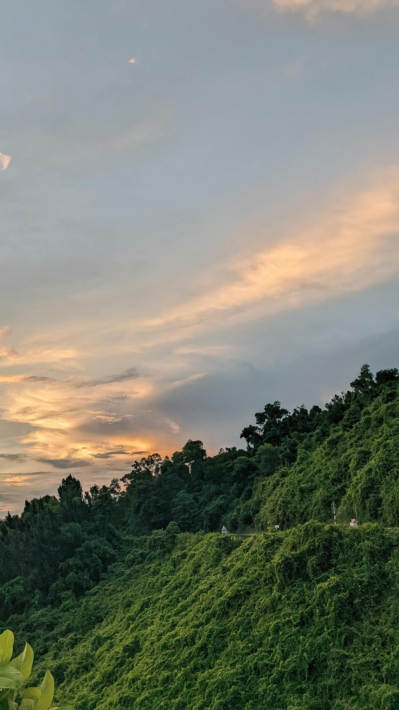 Thám tử lừng danh Conan | Chương 0004