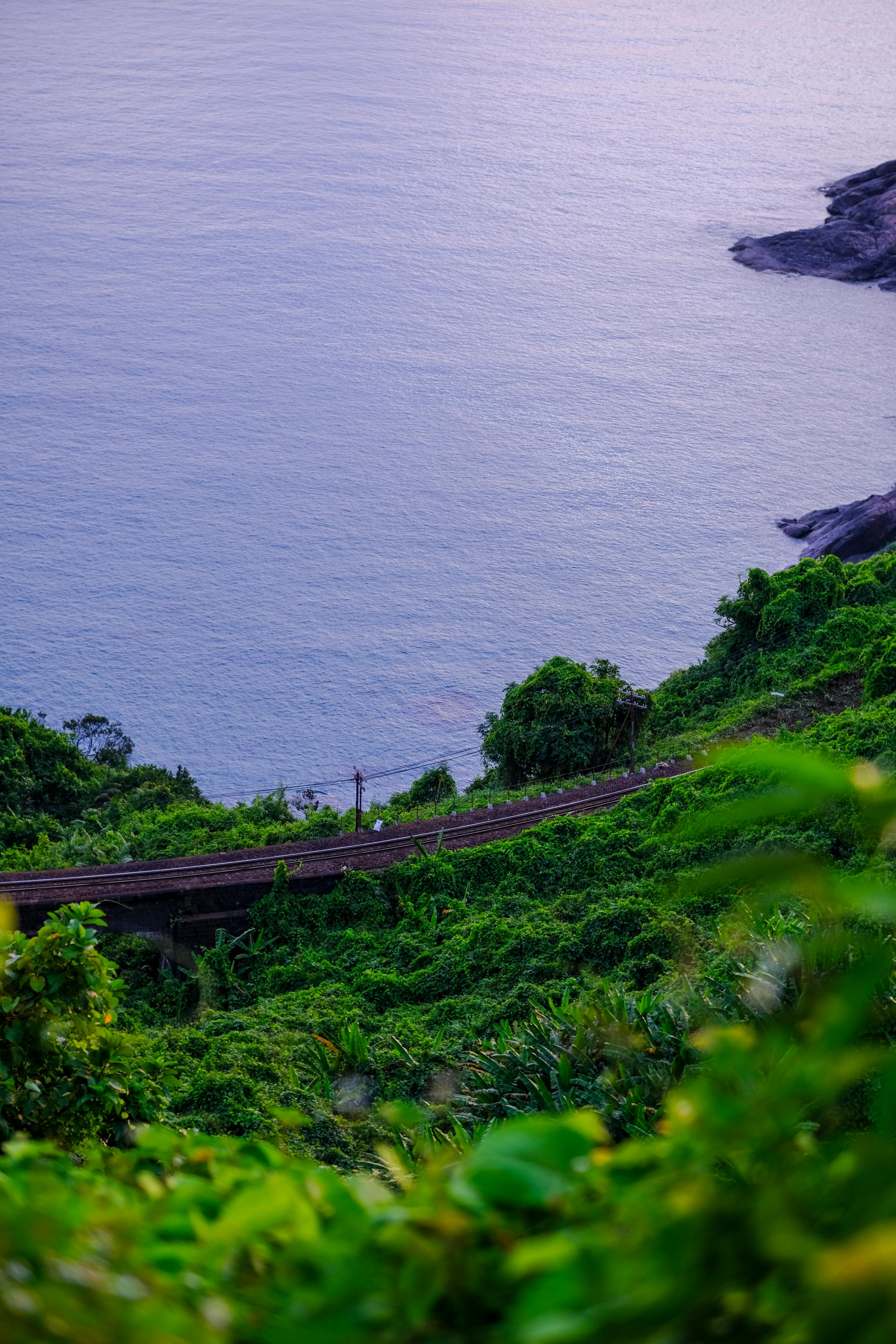 Trung tâm nghiên cứu văn học, phát triển nhà văn Việt Nam